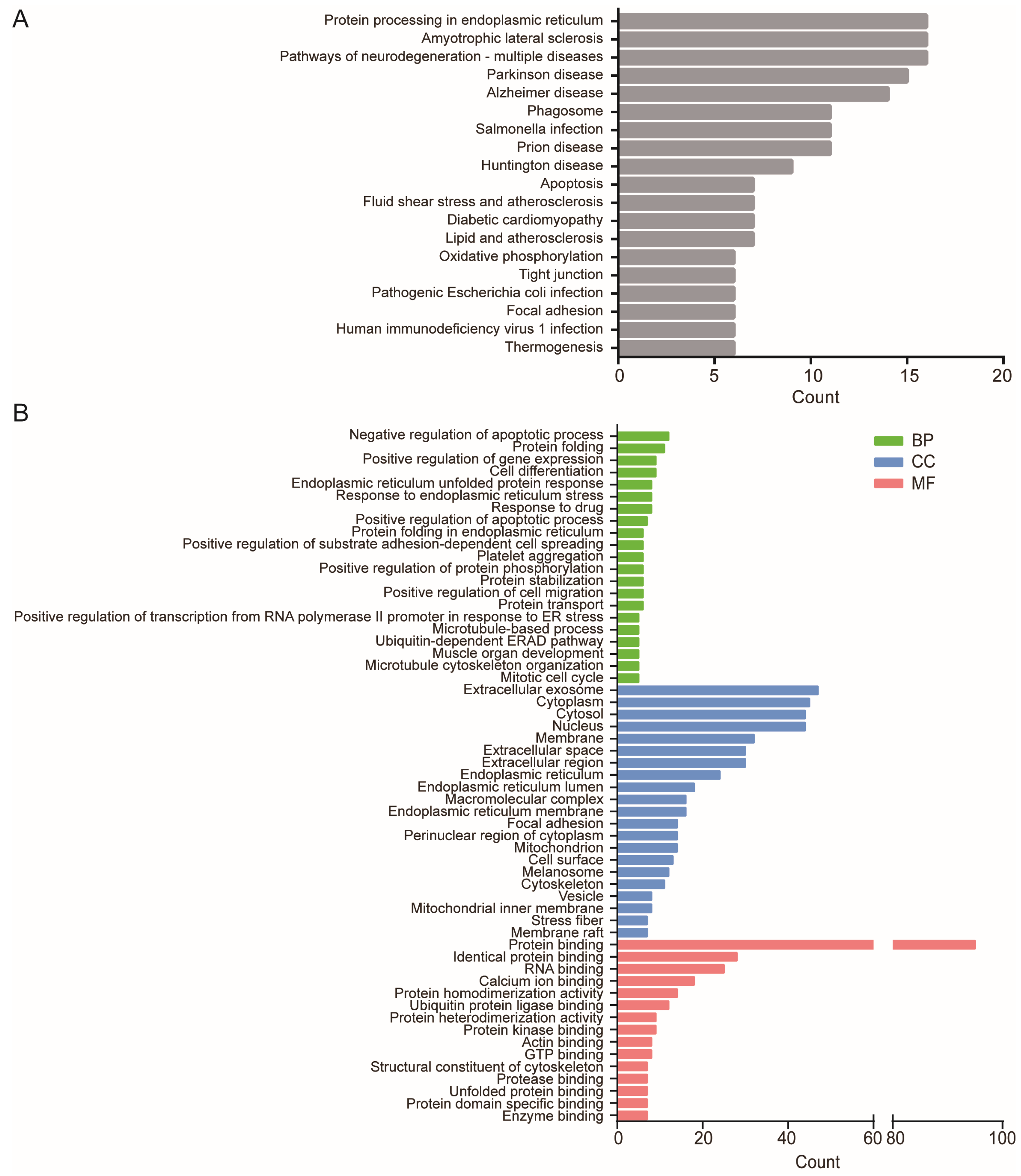 Ijms 24 03811 g002 Ijms 24 03811 g002