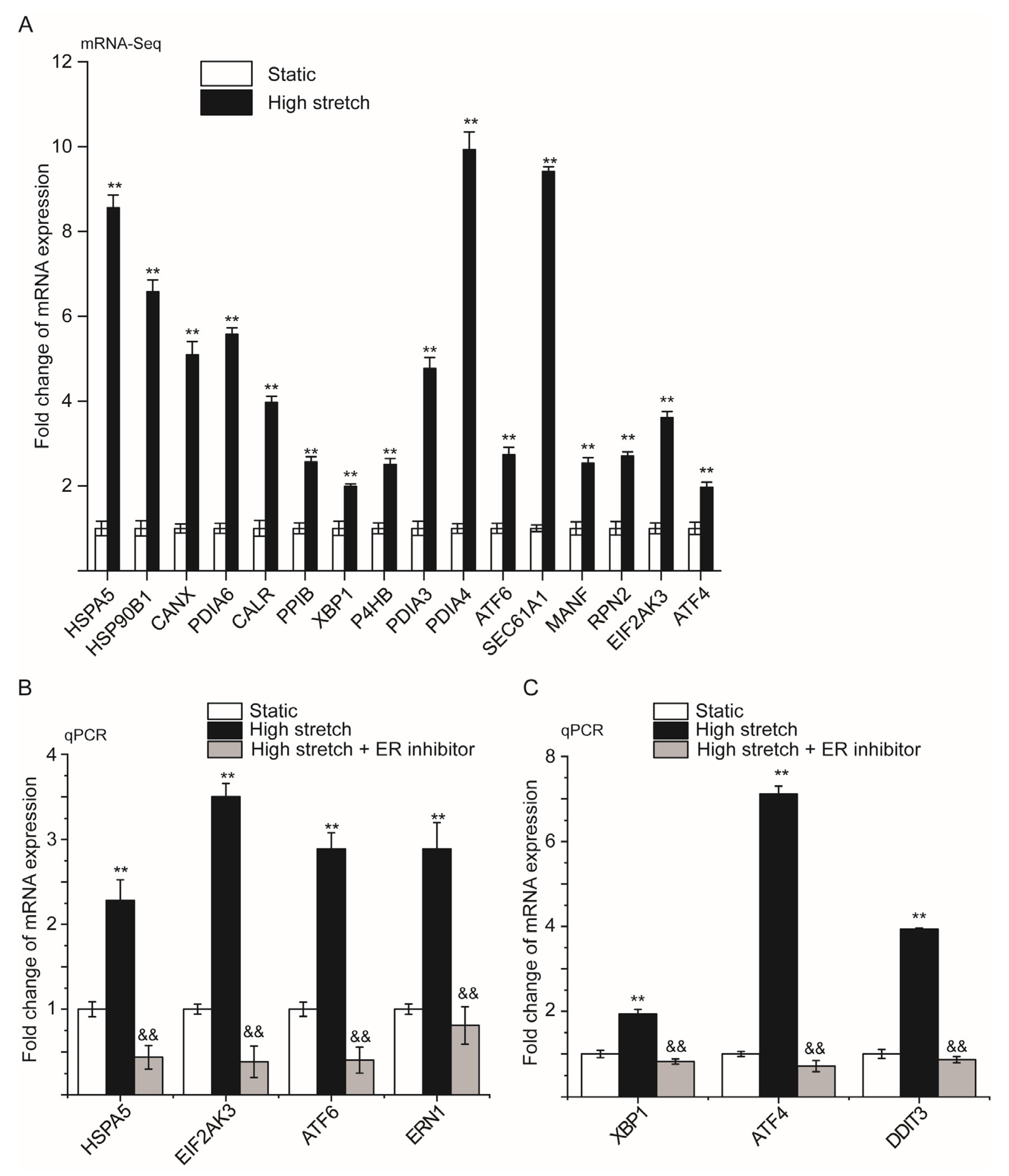 Ijms 24 03811 g004 Ijms 24 03811 g004
