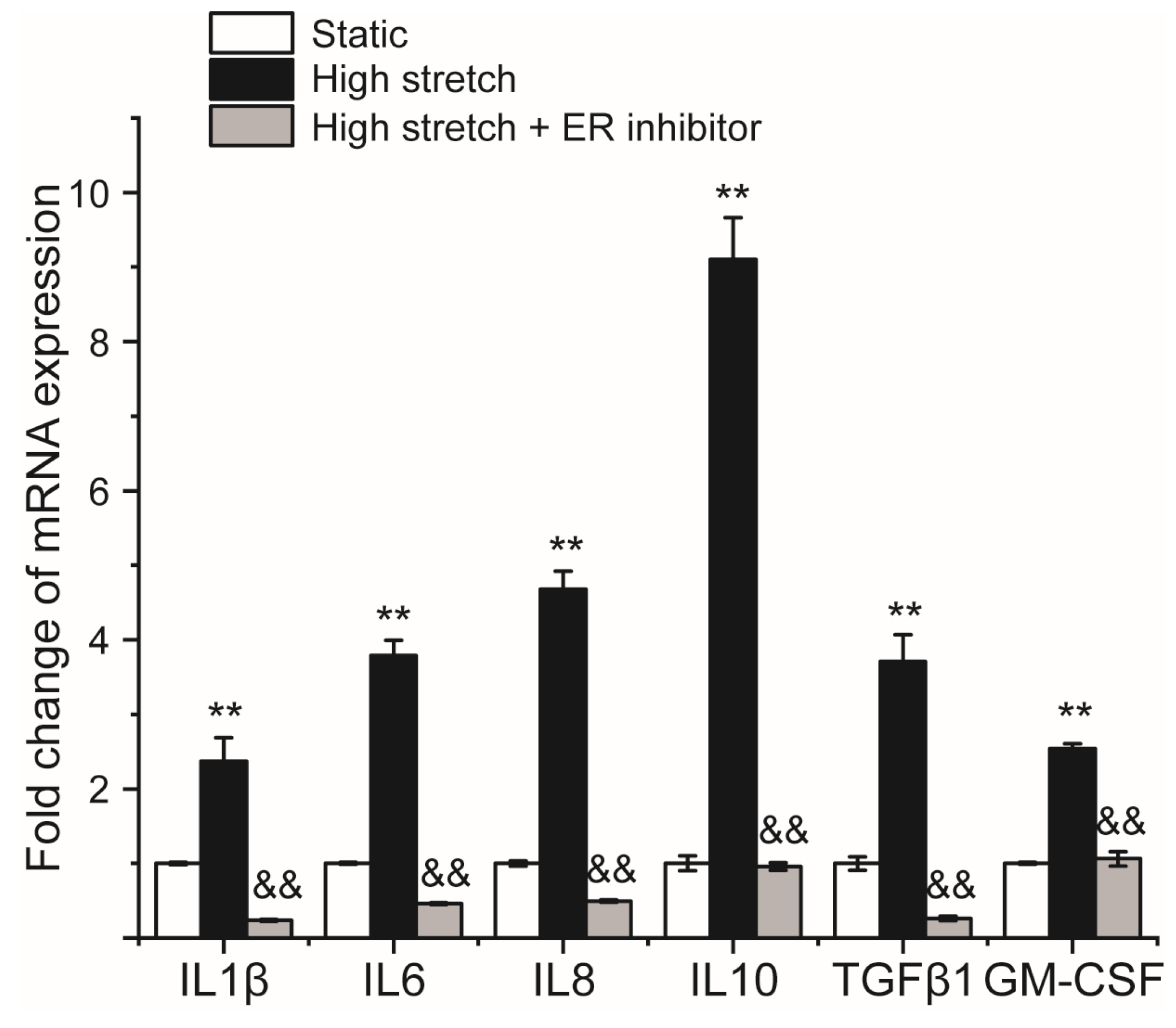 Ijms 24 03811 g005 Ijms 24 03811 g005