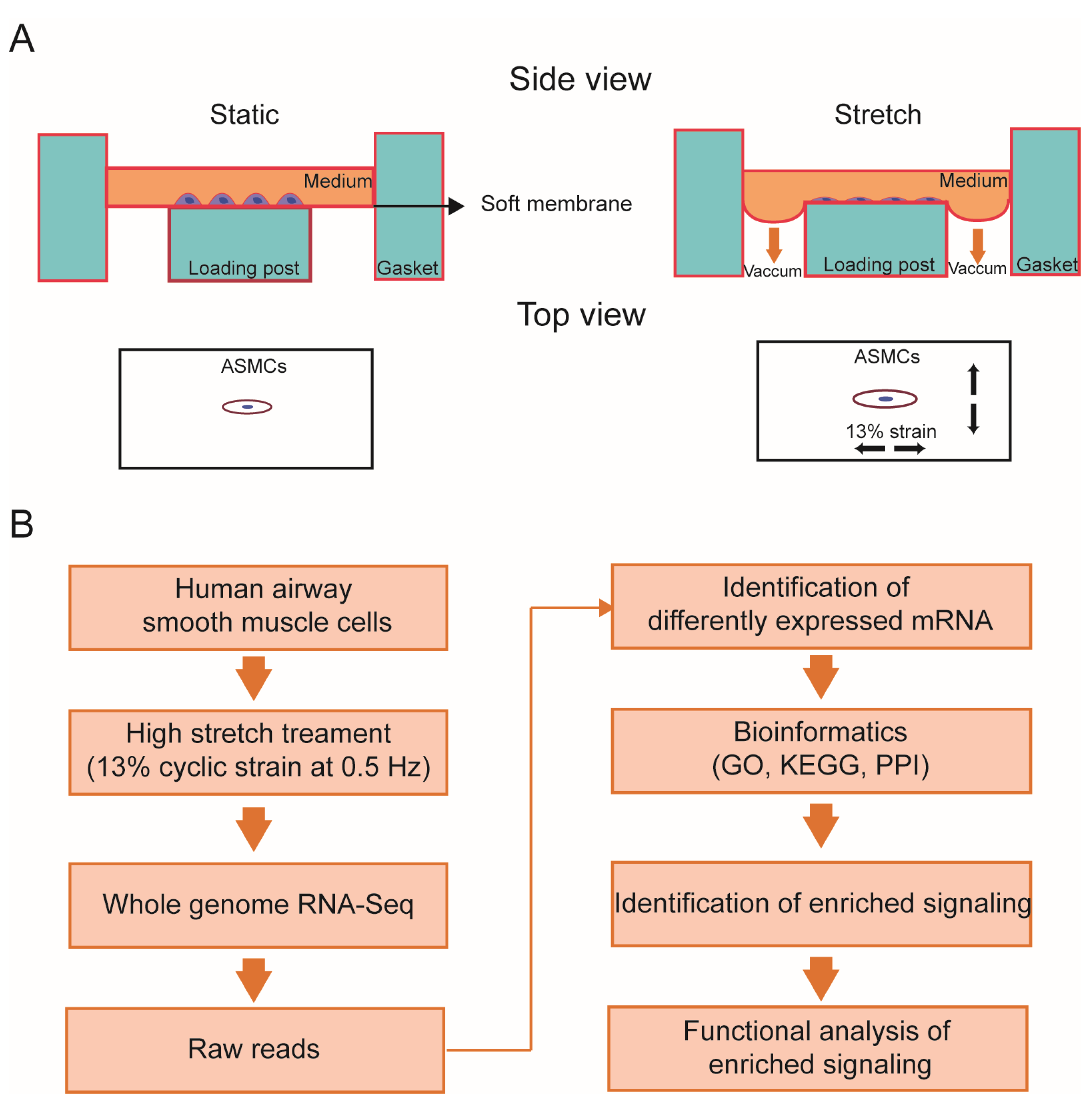 Ijms 24 03811 g006 Ijms 24 03811 g006