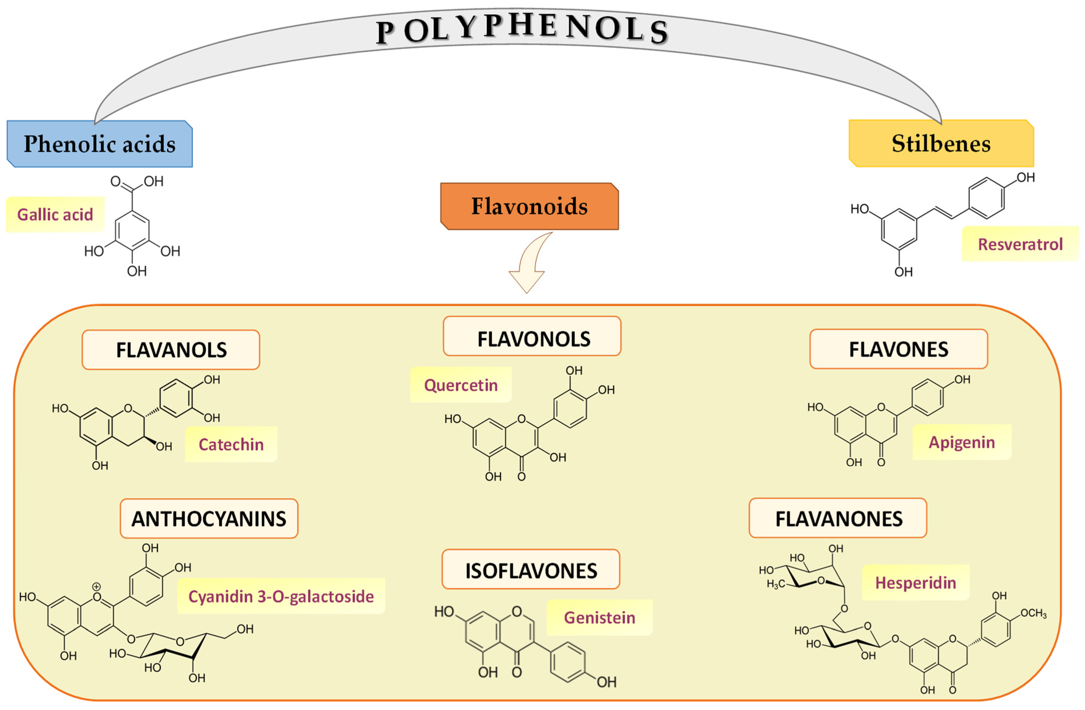 IJMS | Free Full-Text | Bioaccessibility and Bioavailability of 