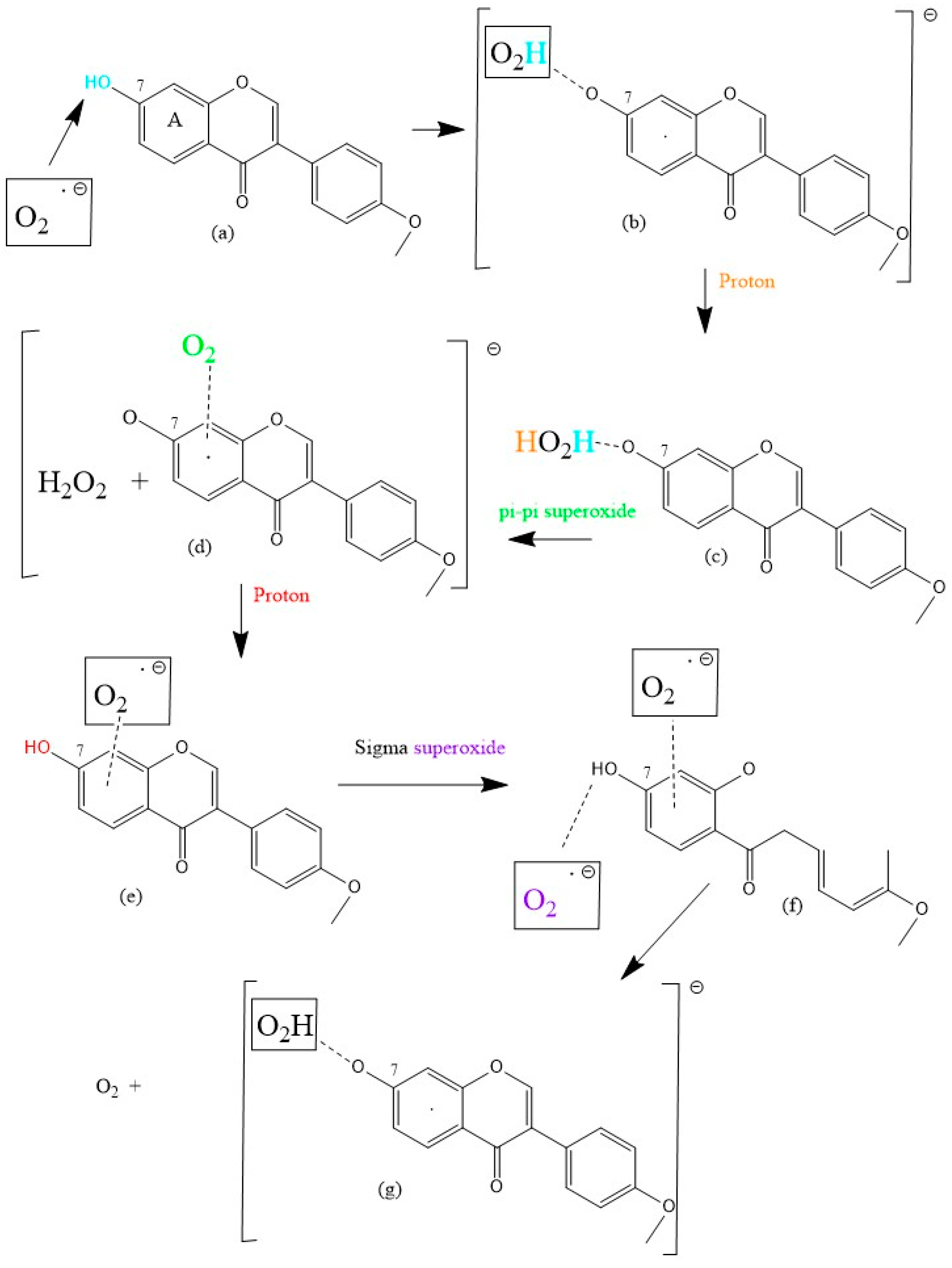 Ijms 24 03815 sch002 550