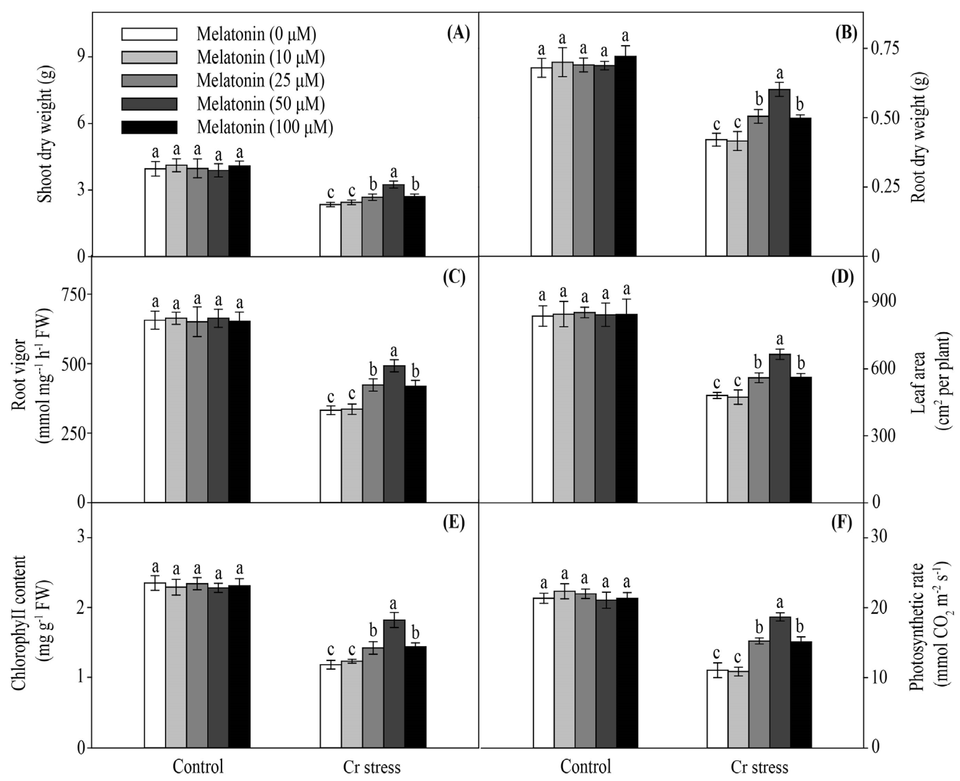 Ijms 24 03816 g001 Ijms 24 03816 g001