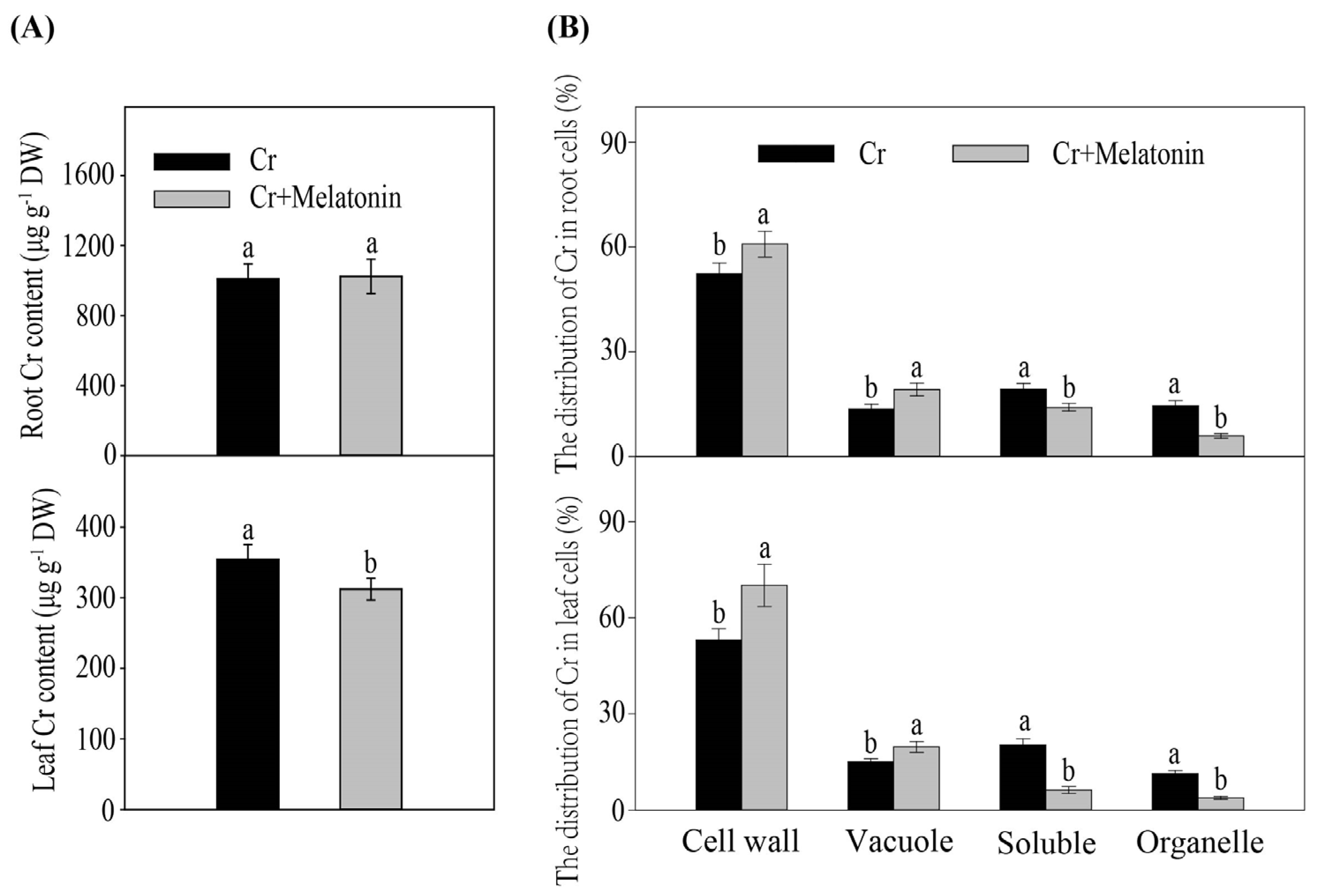 Ijms 24 03816 g002 Ijms 24 03816 g002