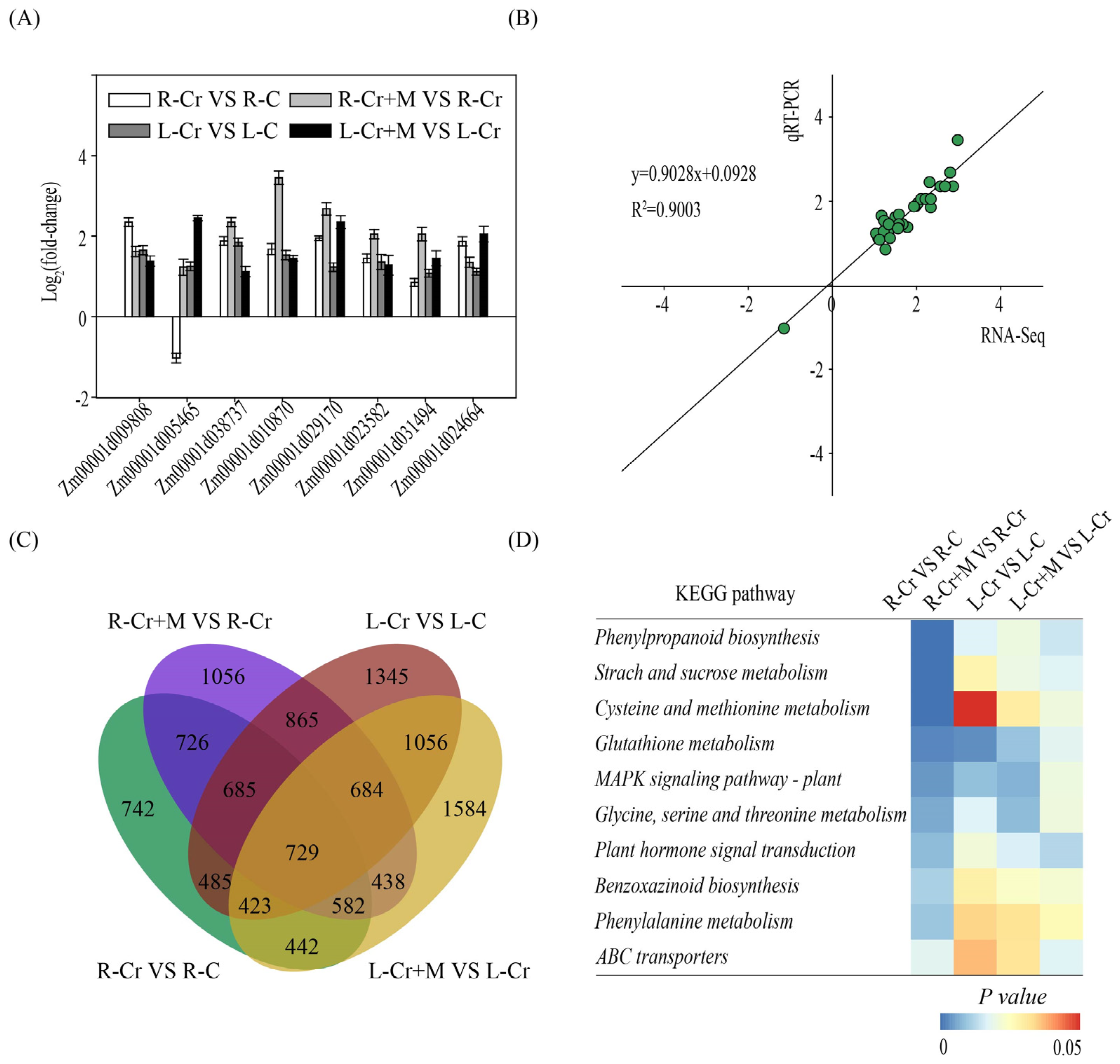 Ijms 24 03816 g003 Ijms 24 03816 g003