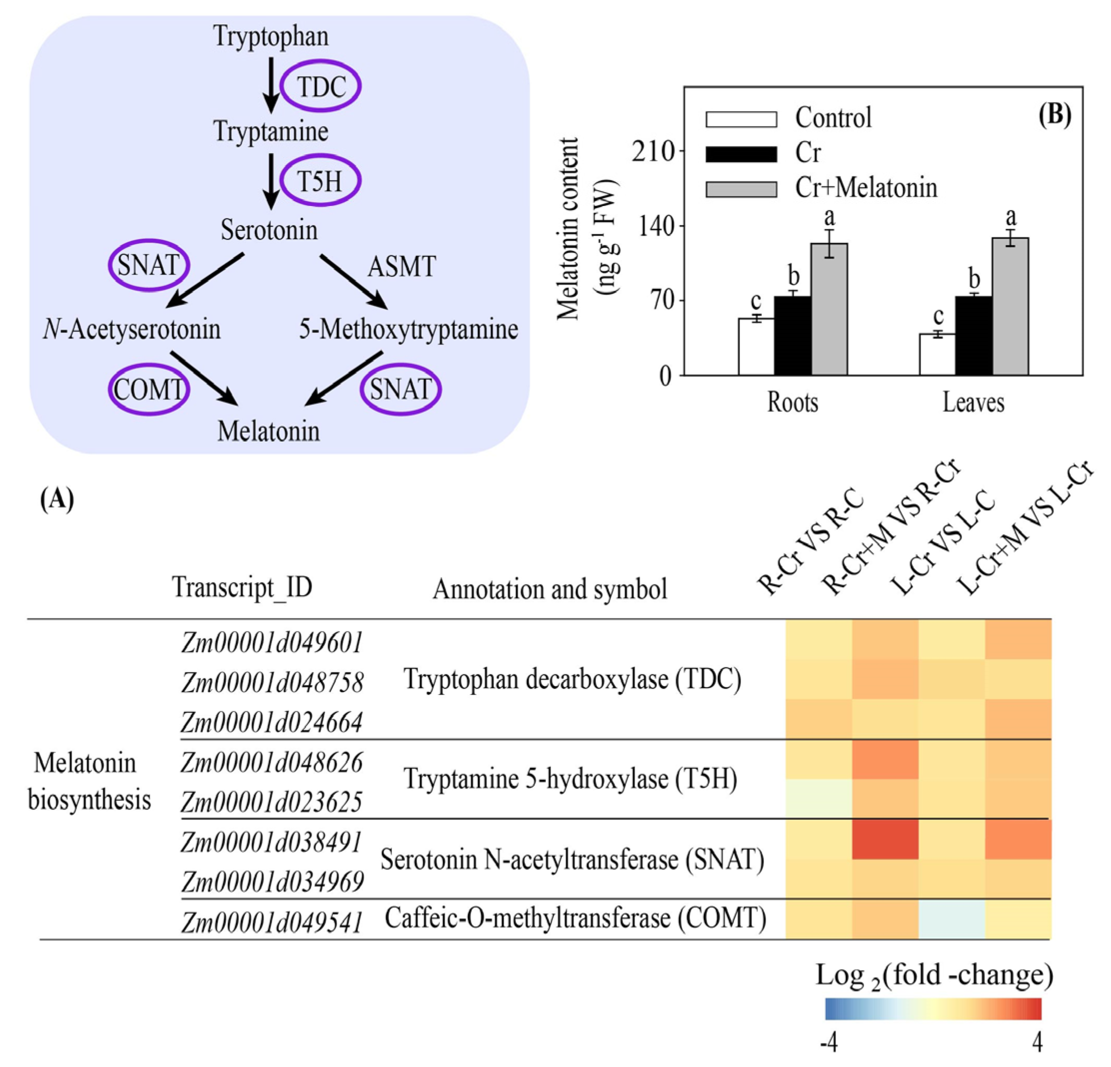 Ijms 24 03816 g008 Ijms 24 03816 g008
