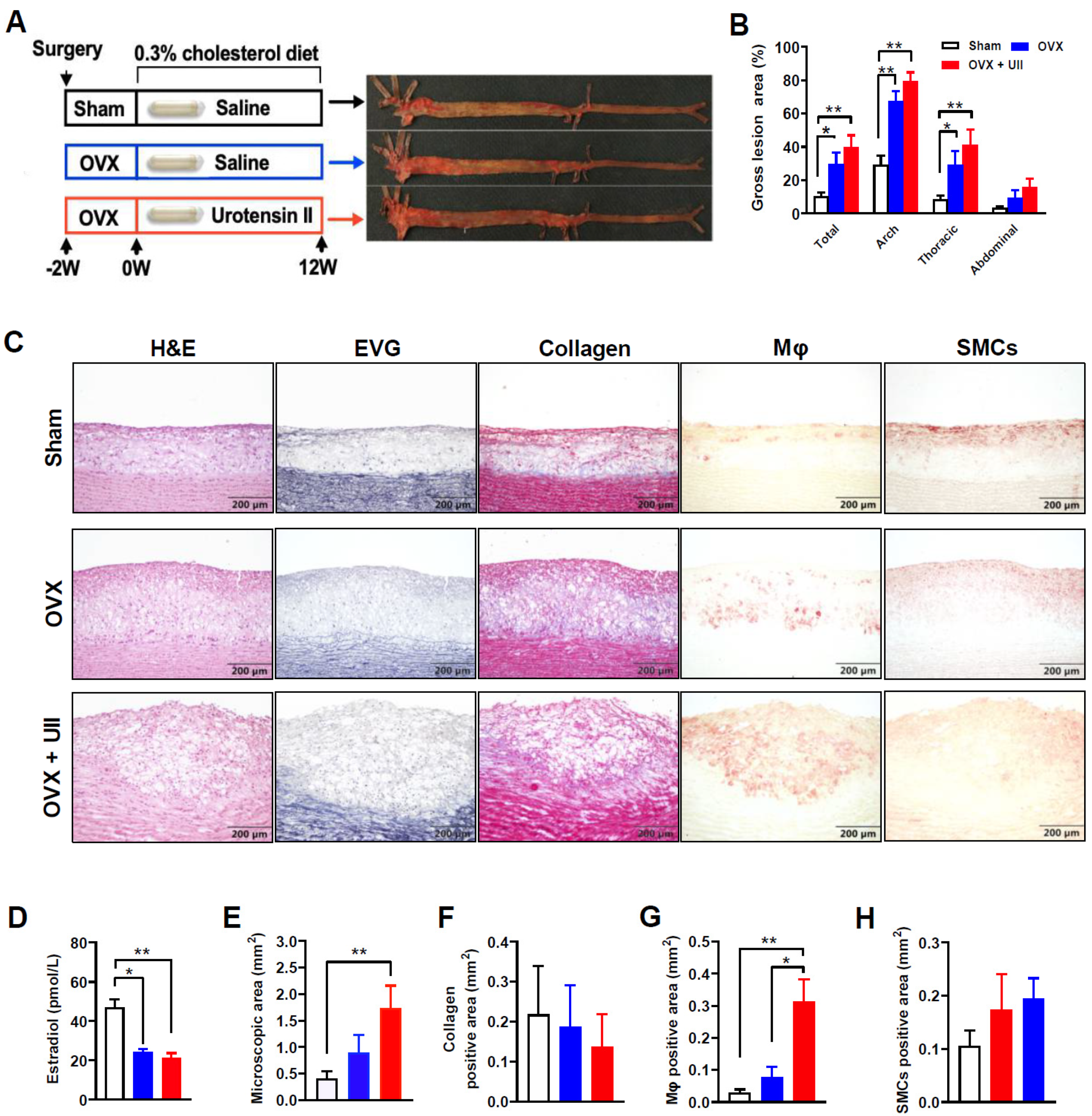 Ijms 24 03819 g001 Ijms 24 03819 g001