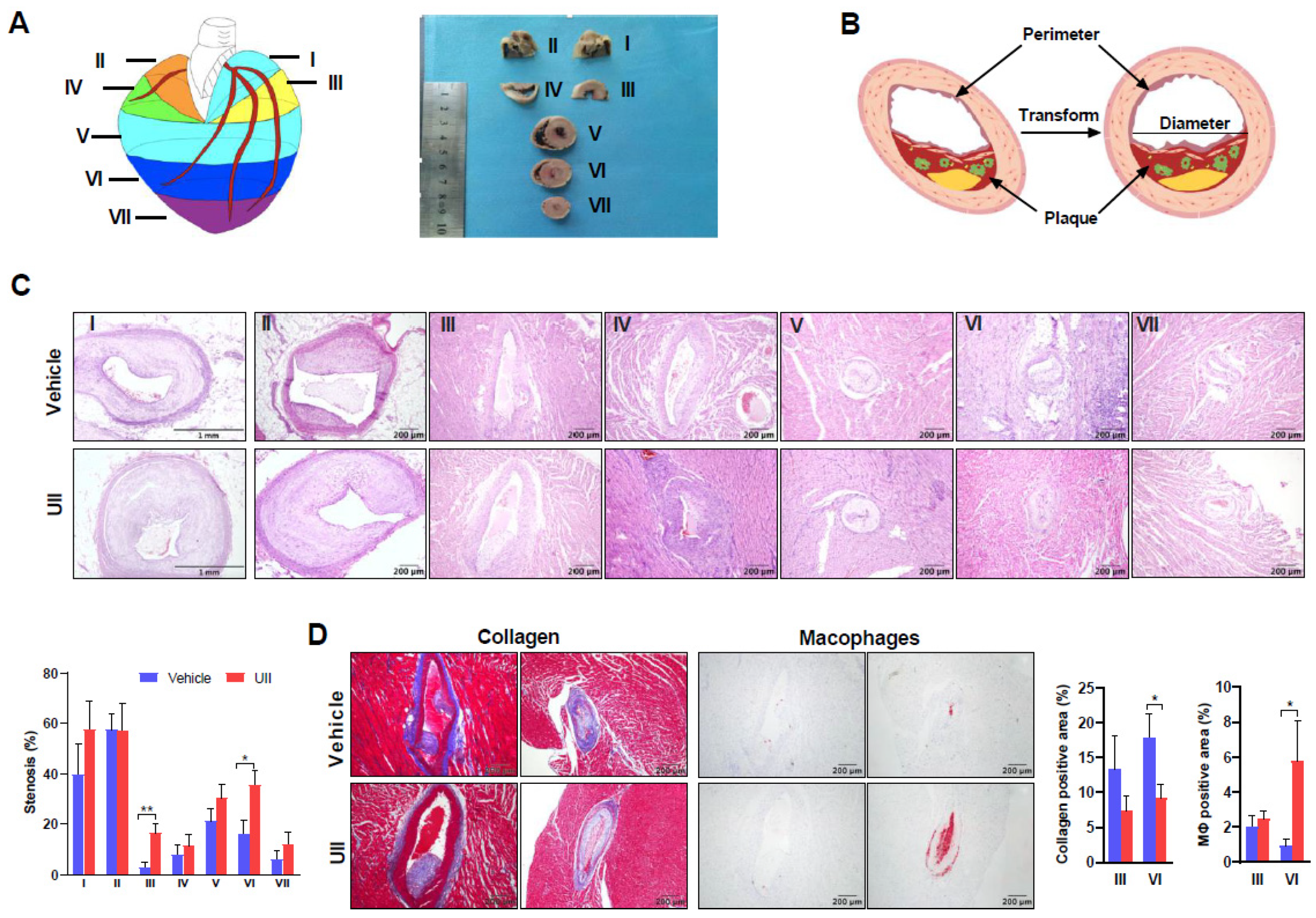 Ijms 24 03819 g003 Ijms 24 03819 g003