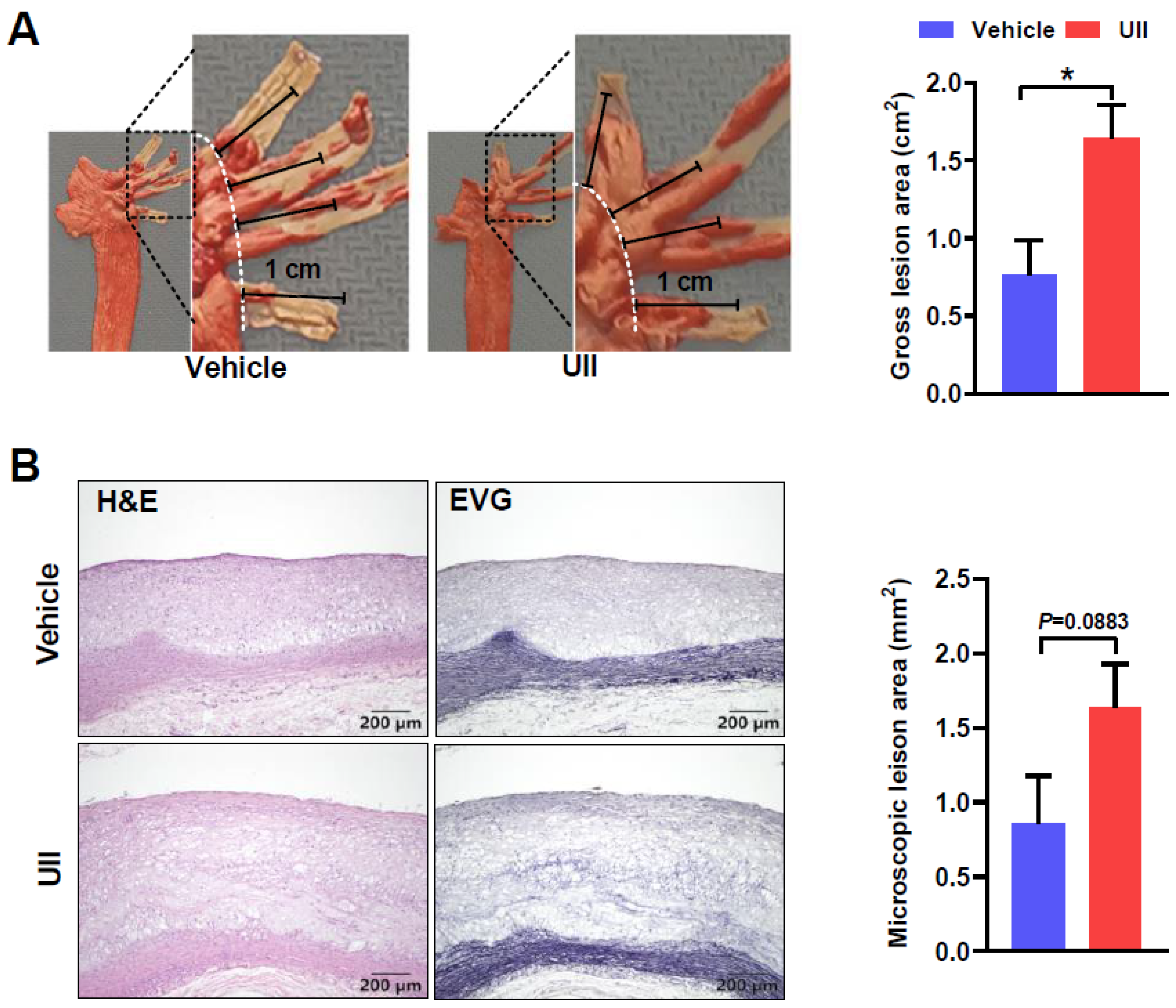 Ijms 24 03819 g004 Ijms 24 03819 g004