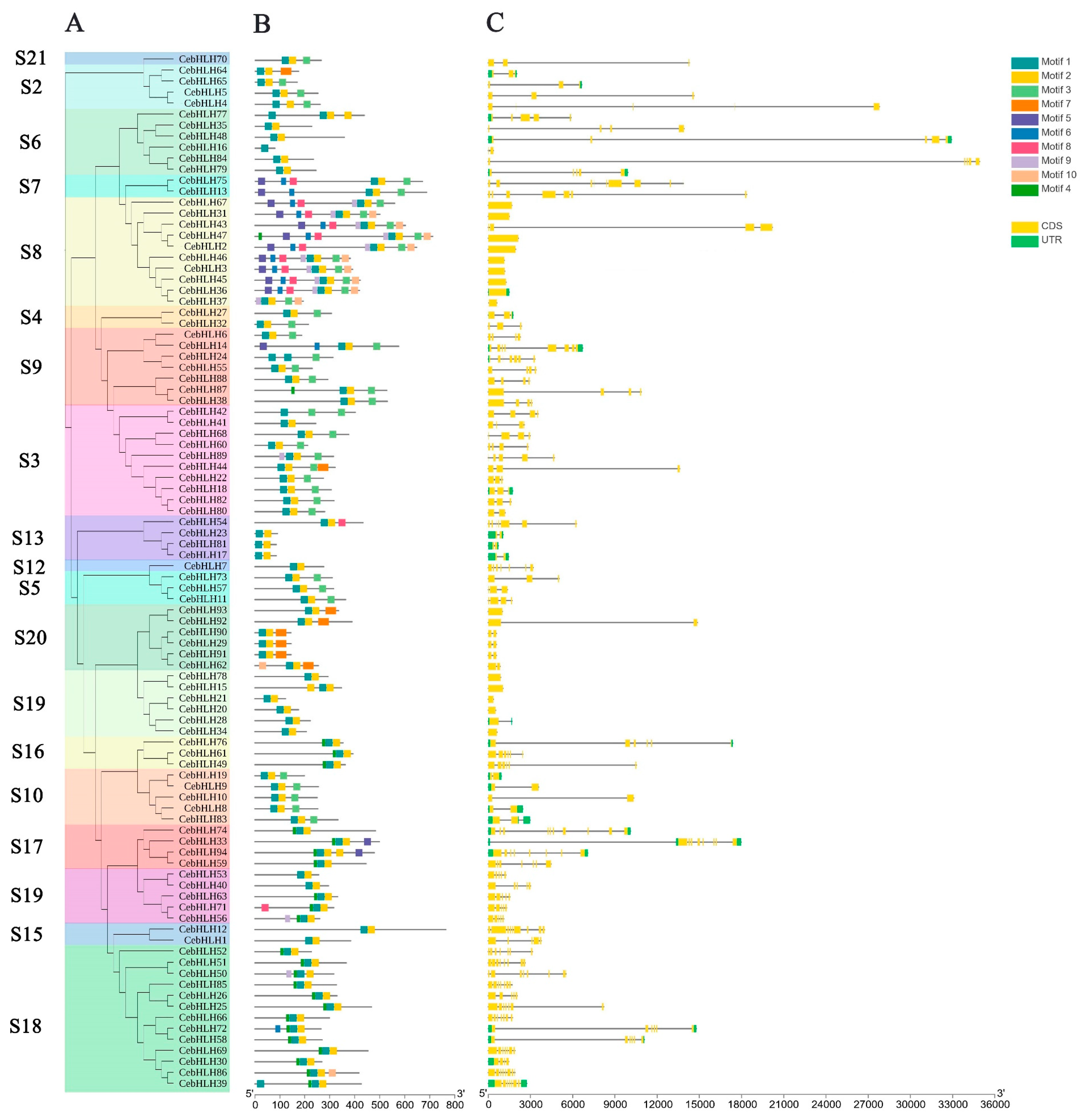 Ijms 24 03825 g002 Ijms 24 03825 g002