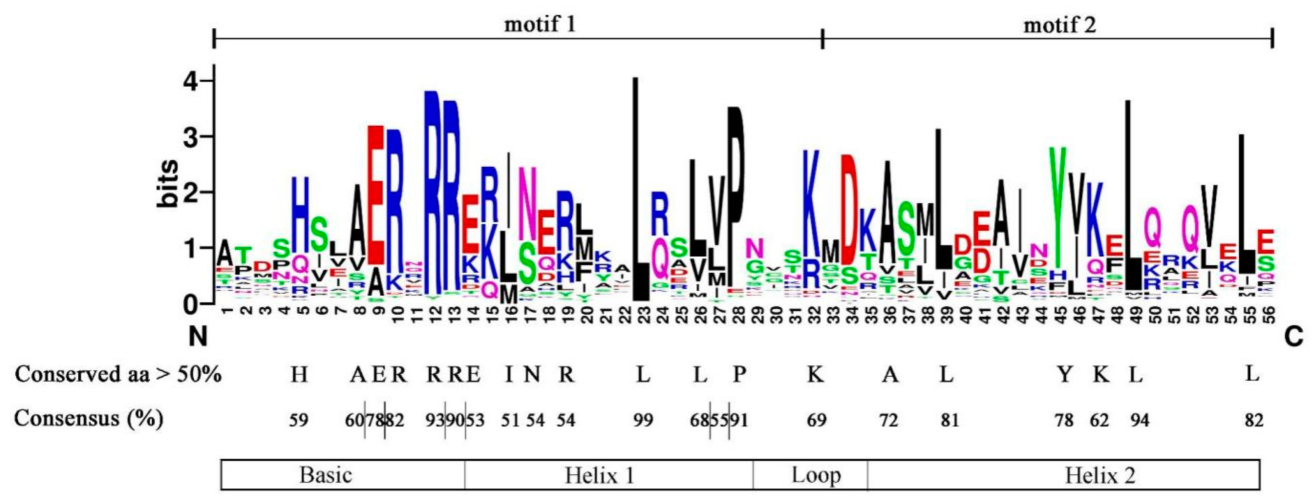 Ijms 24 03825 g003 Ijms 24 03825 g003