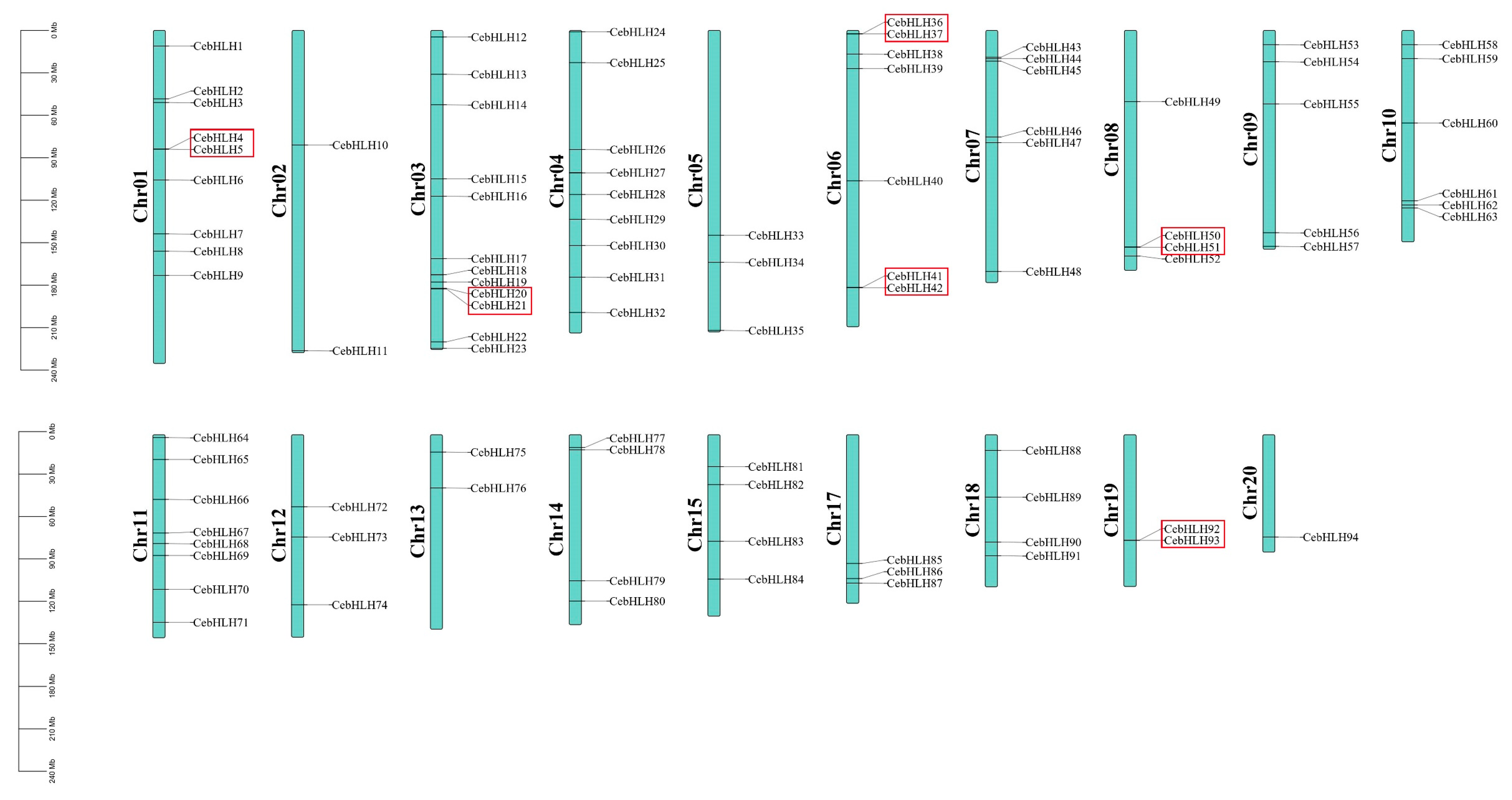 Ijms 24 03825 g005 Ijms 24 03825 g005