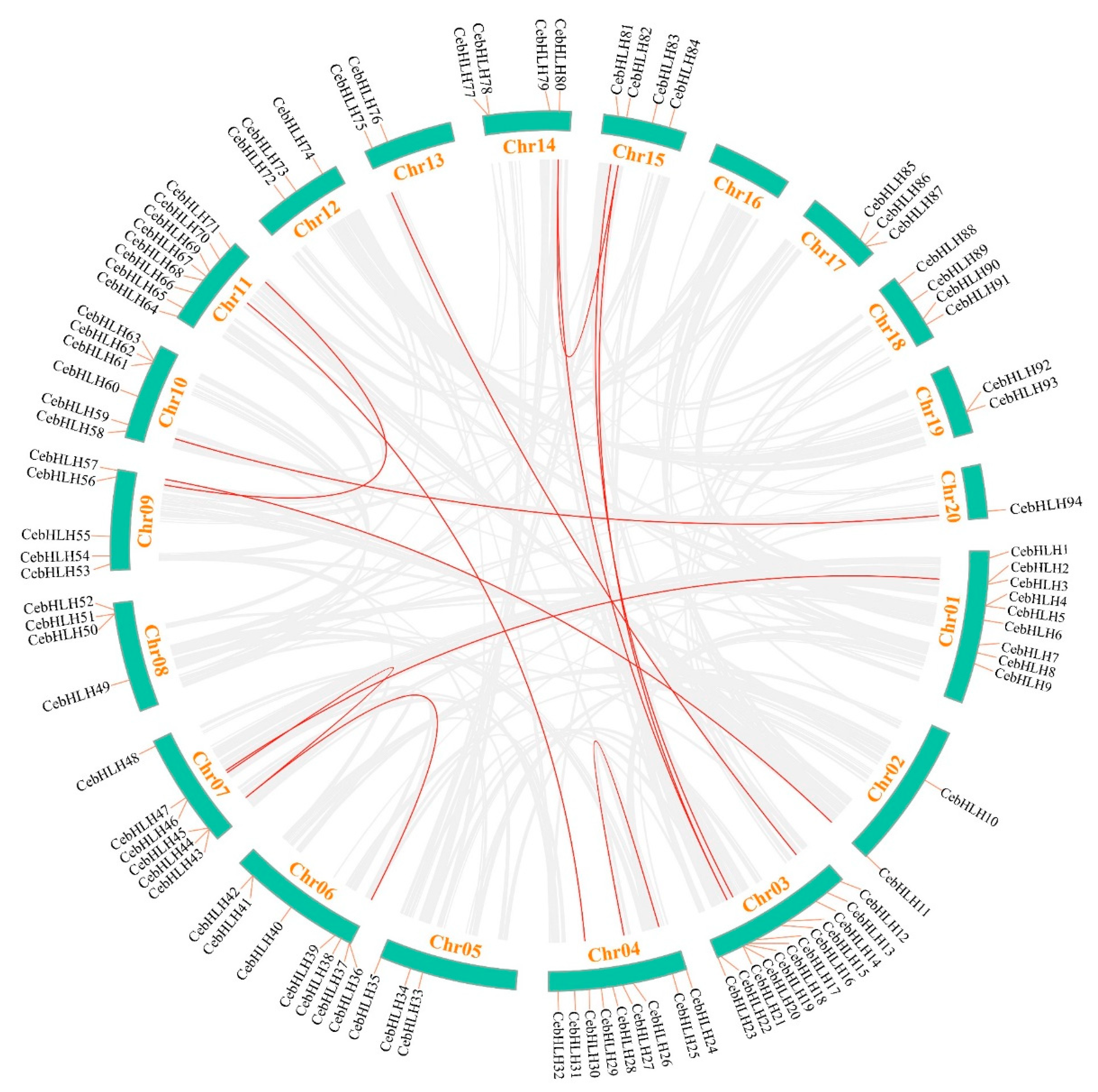 Ijms 24 03825 g006 Ijms 24 03825 g006