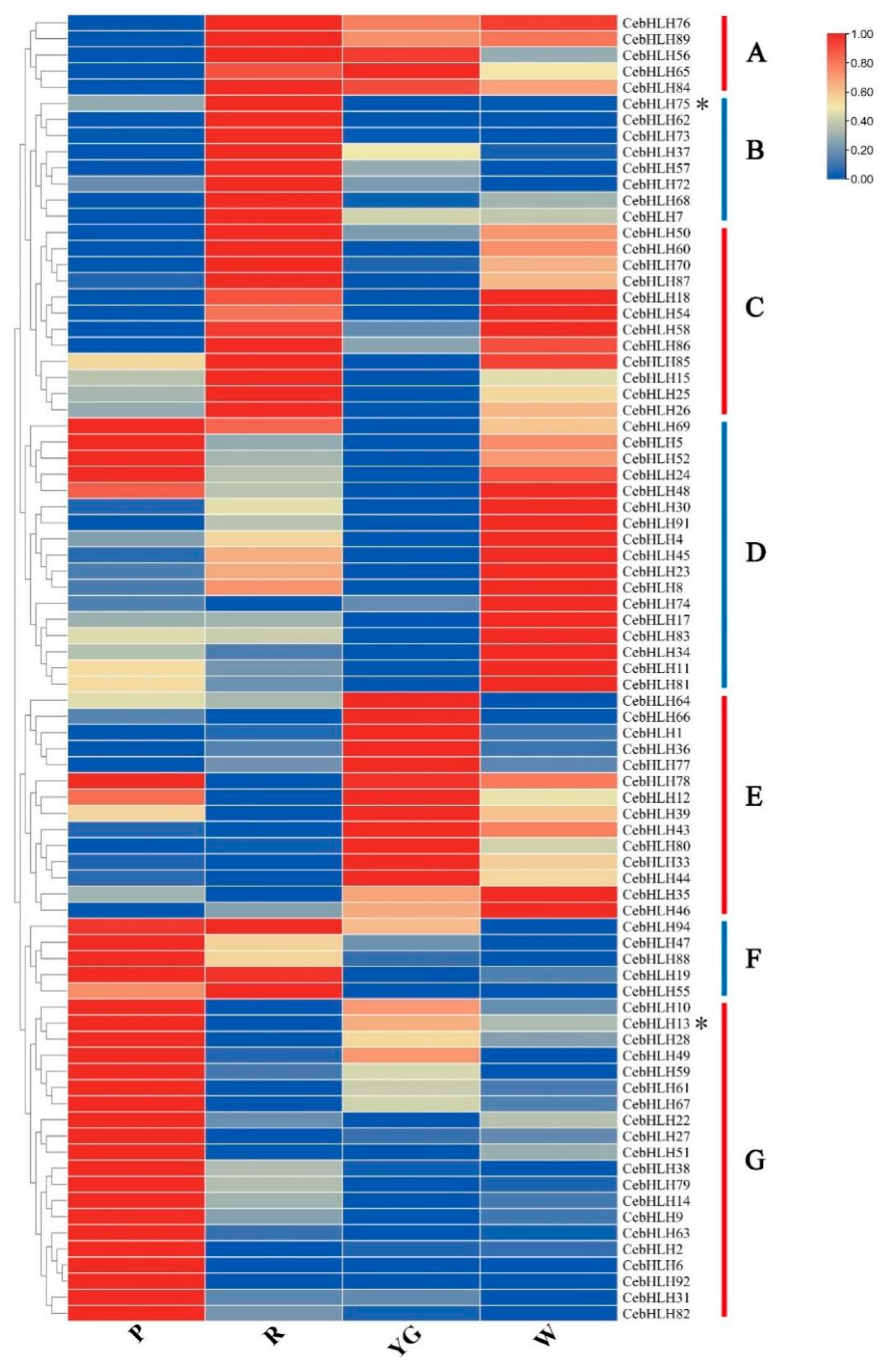 Ijms 24 03825 g007 Ijms 24 03825 g007