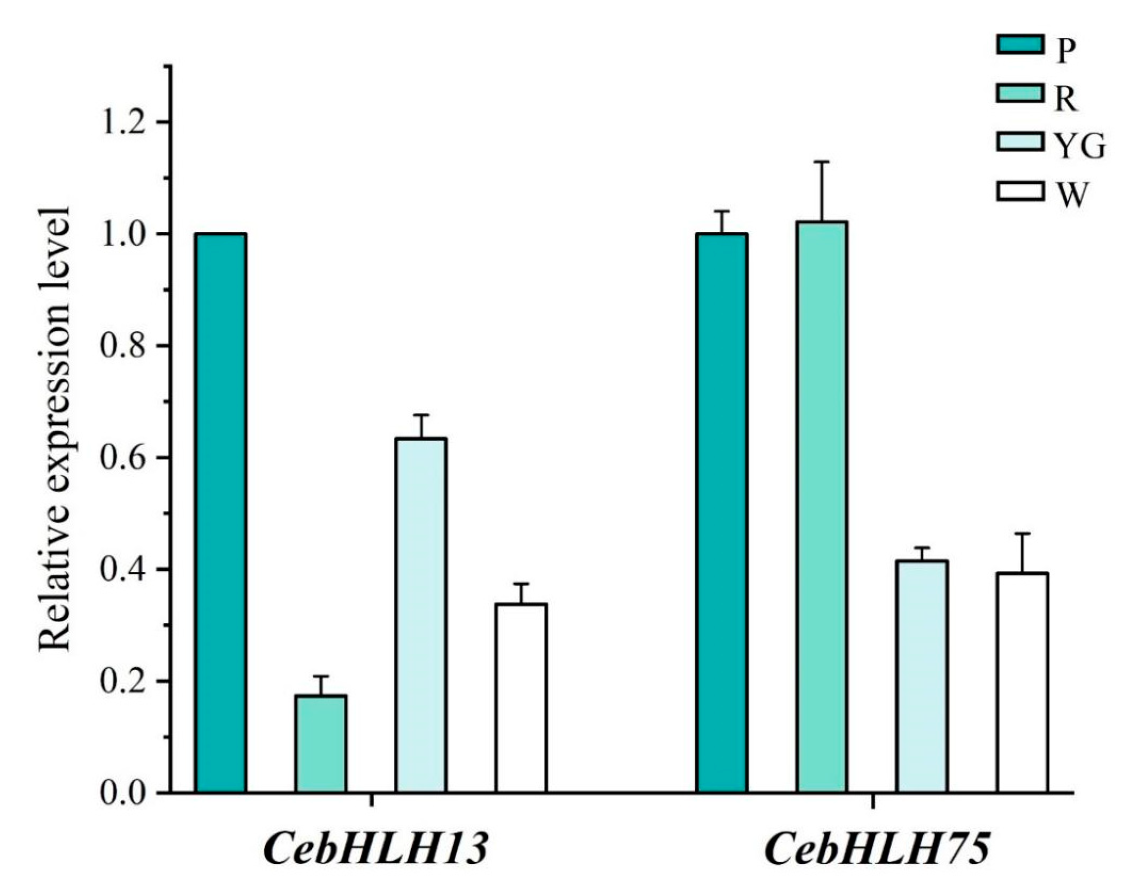 Ijms 24 03825 g008 Ijms 24 03825 g008