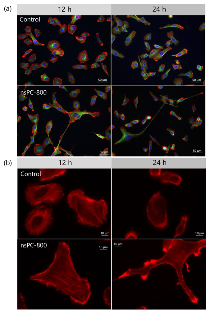 Ijms 24 03826 g002 Ijms 24 03826 g002