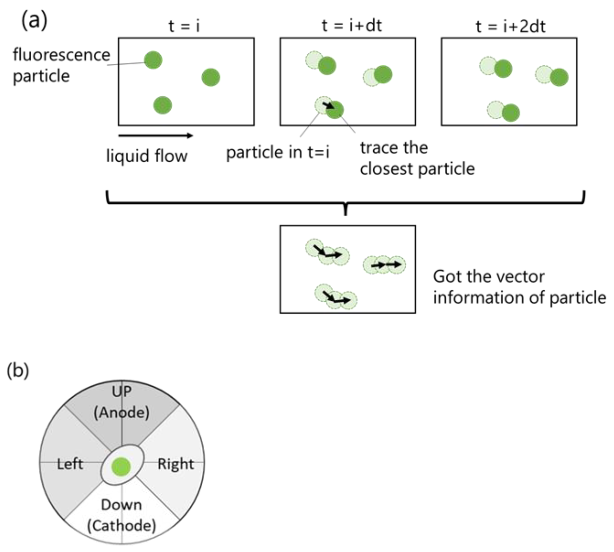 Ijms 24 03826 g008 Ijms 24 03826 g008