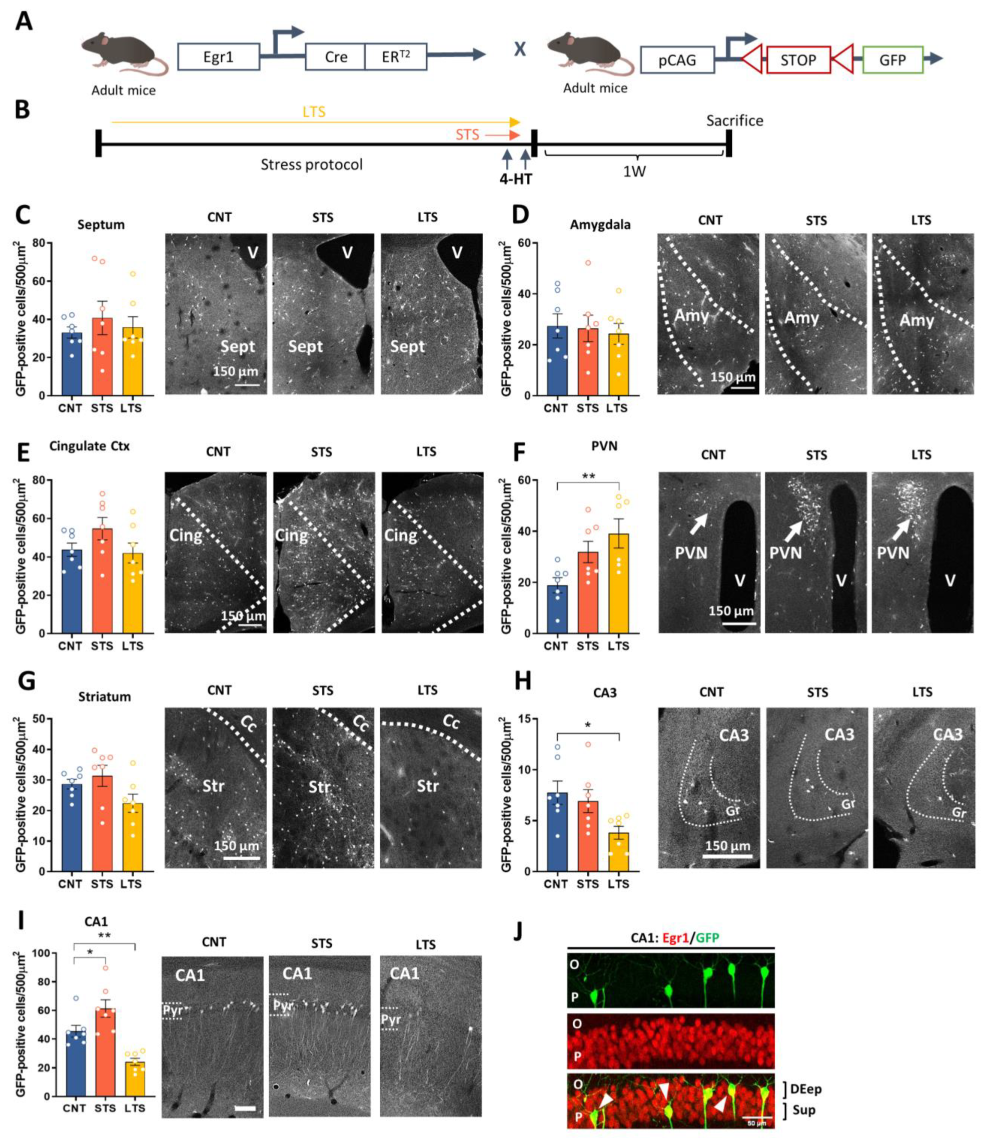 Ijms 24 03833 g001 Ijms 24 03833 g001
