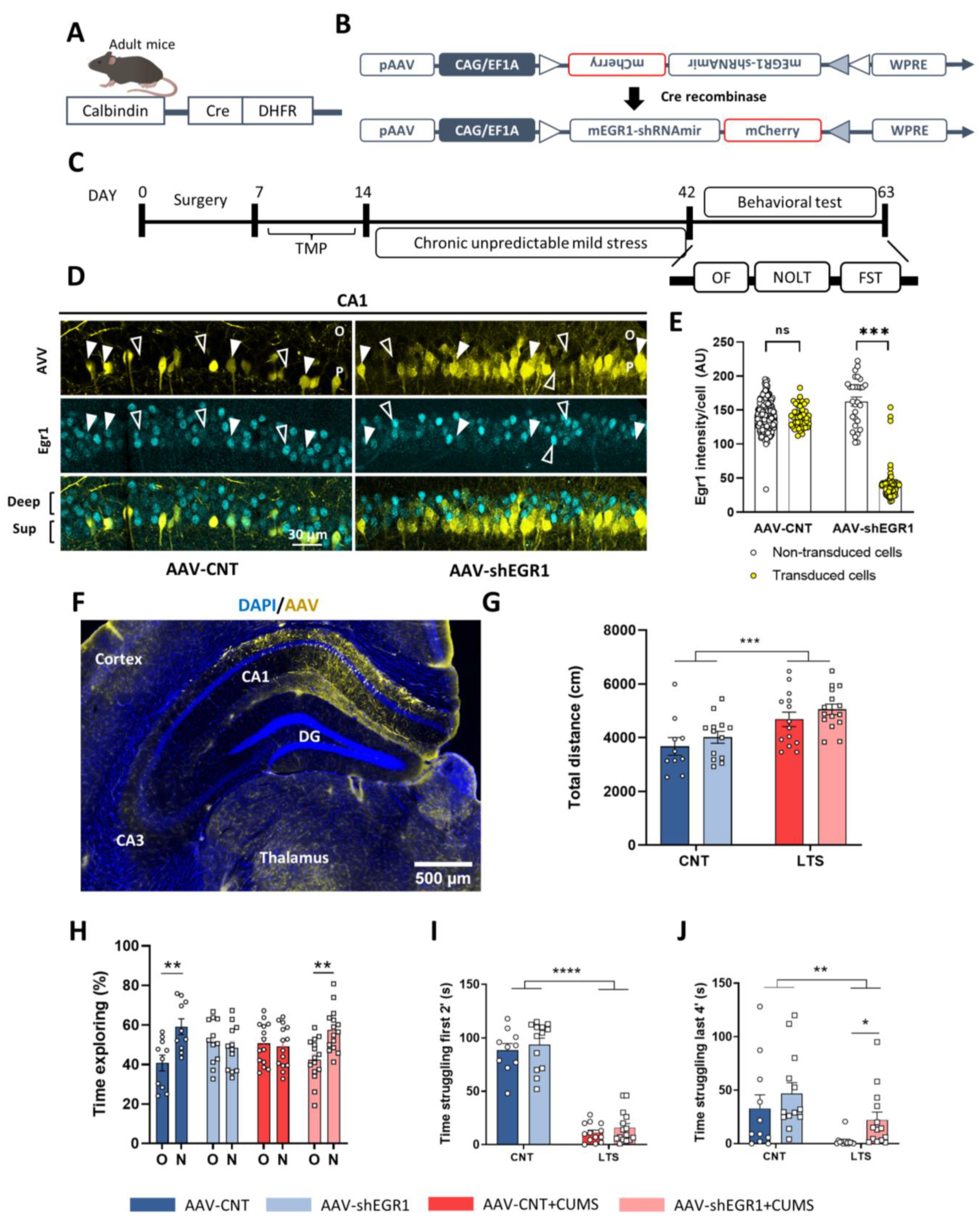 Ijms 24 03833 g005 Ijms 24 03833 g005