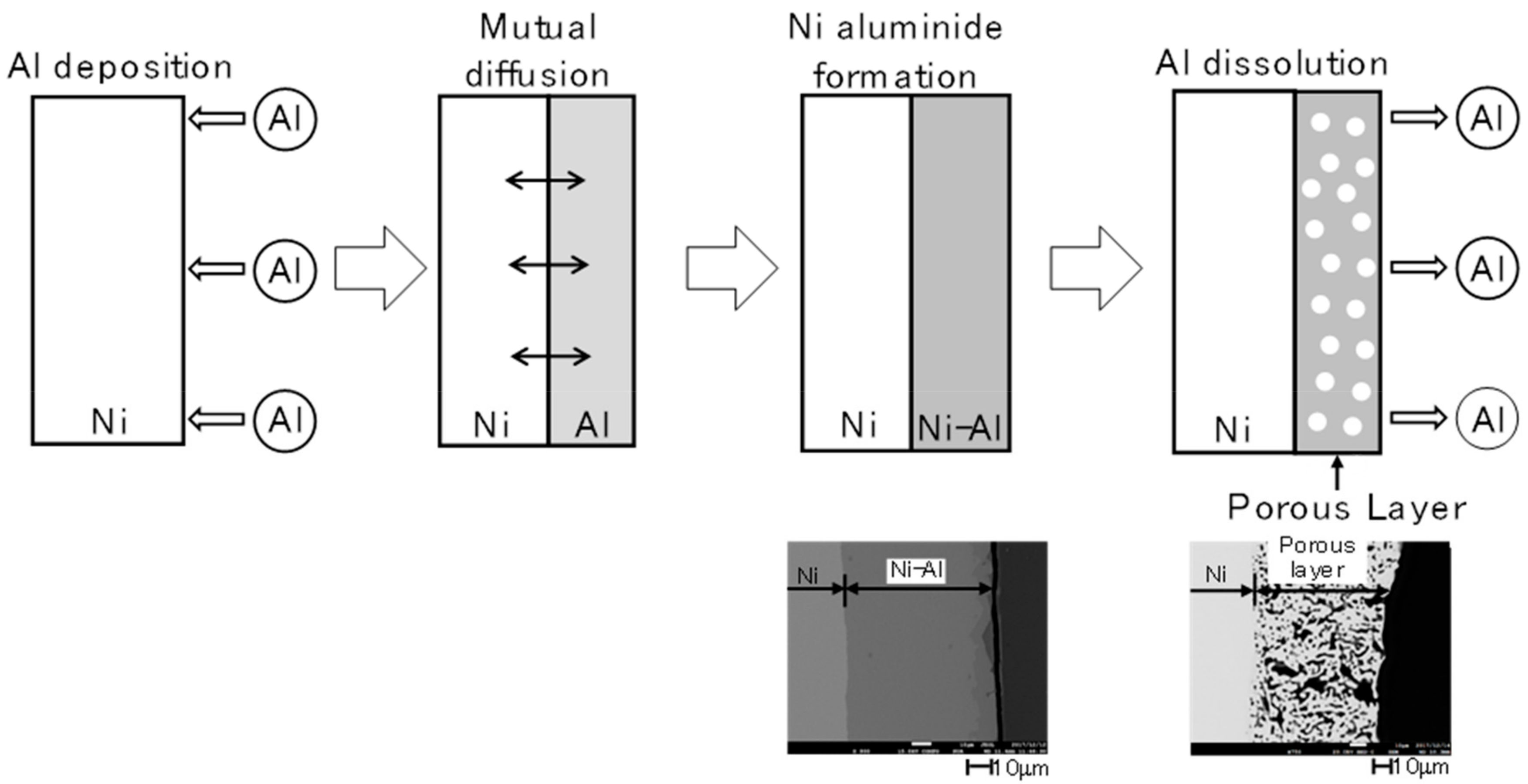 Ijms 24 03836 g001 550