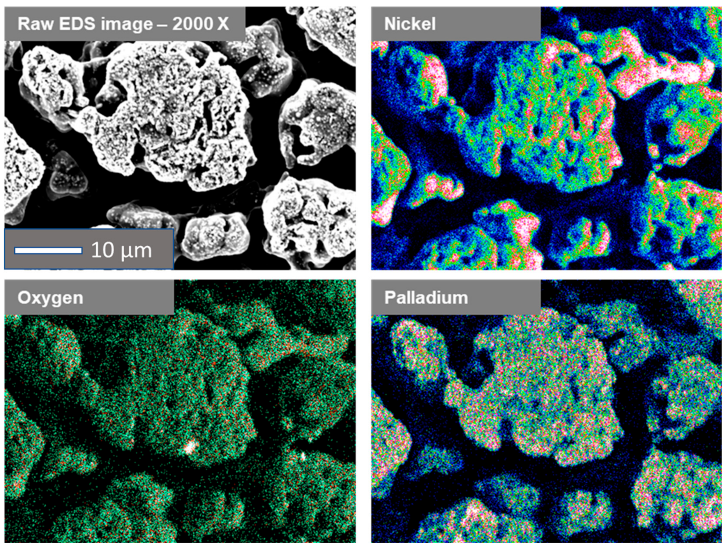 Ijms 24 03836 g006 550