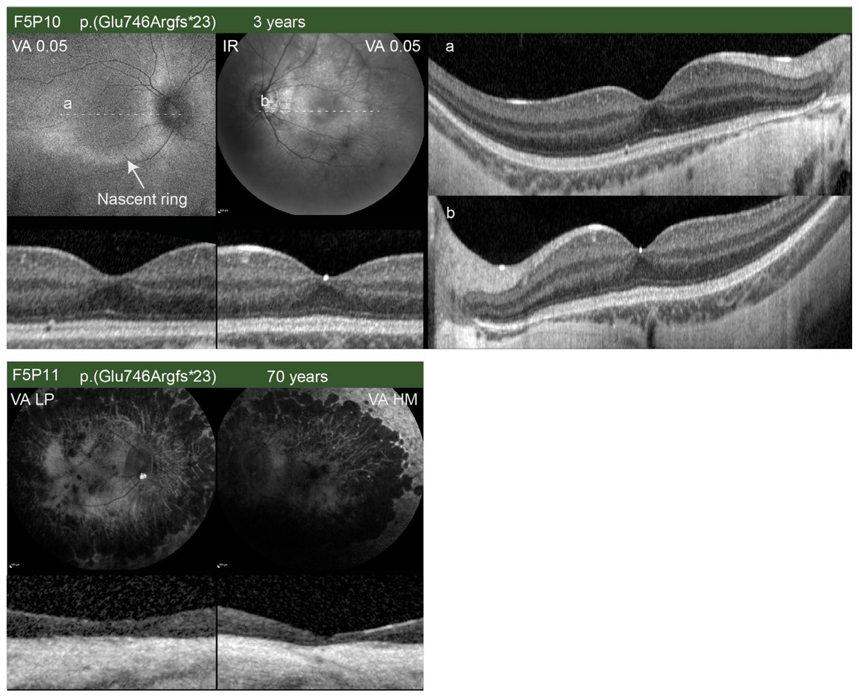 Ijms 24 03840 g005 Ijms 24 03840 g005