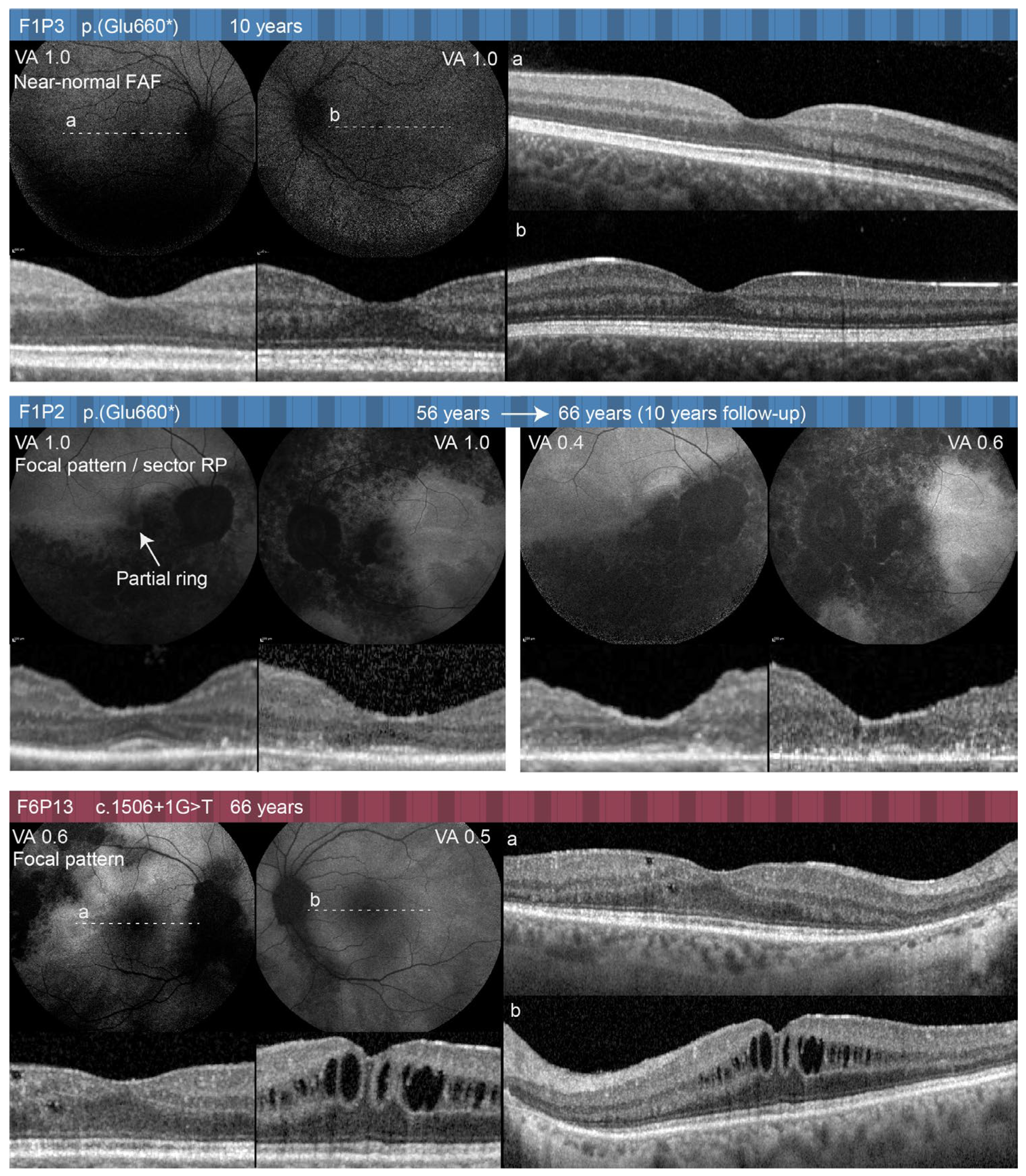 Ijms 24 03840 g009 Ijms 24 03840 g009