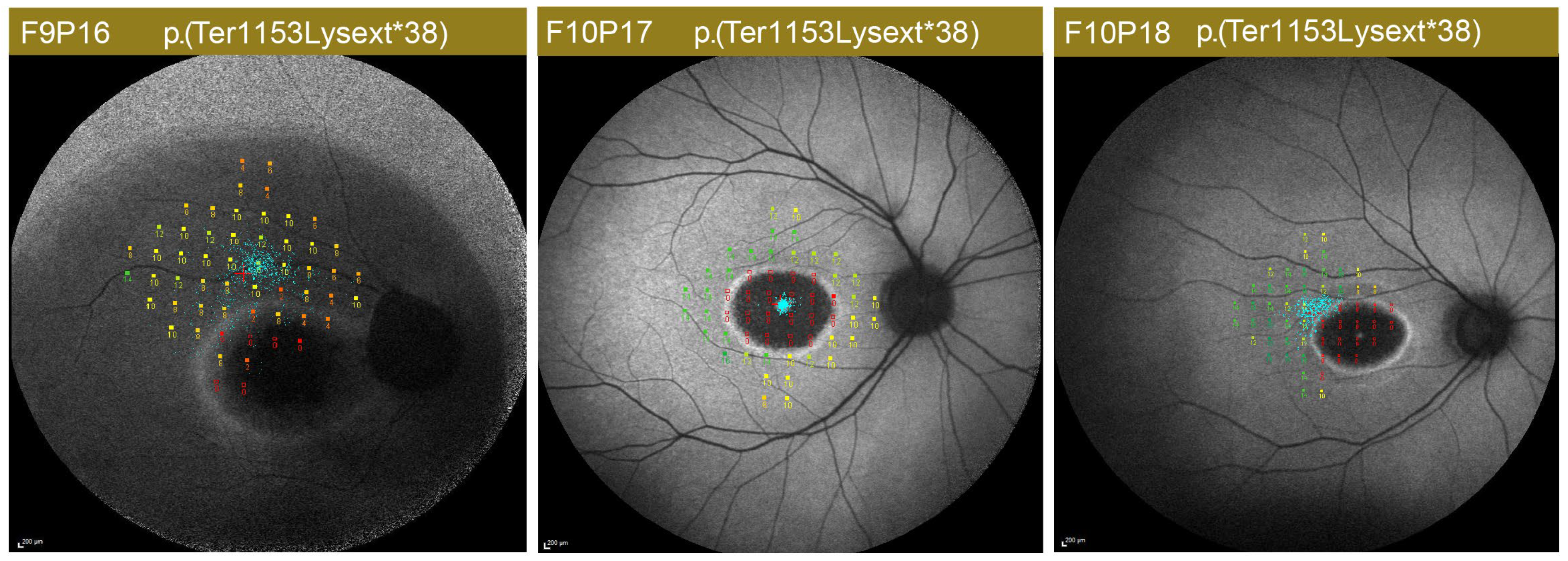 Ijms 24 03840 g014 Ijms 24 03840 g014