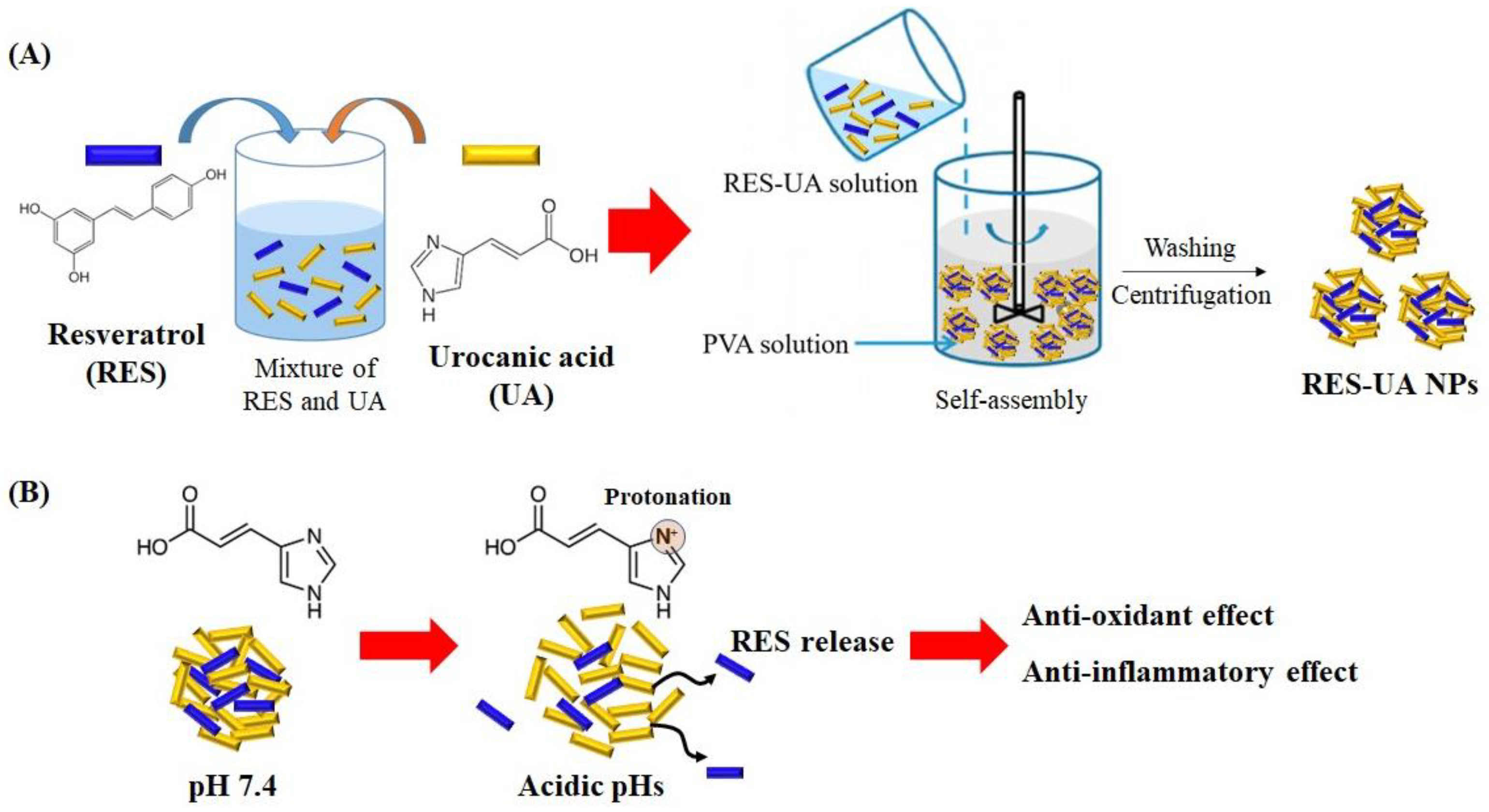 Ijms 24 03843 sch001