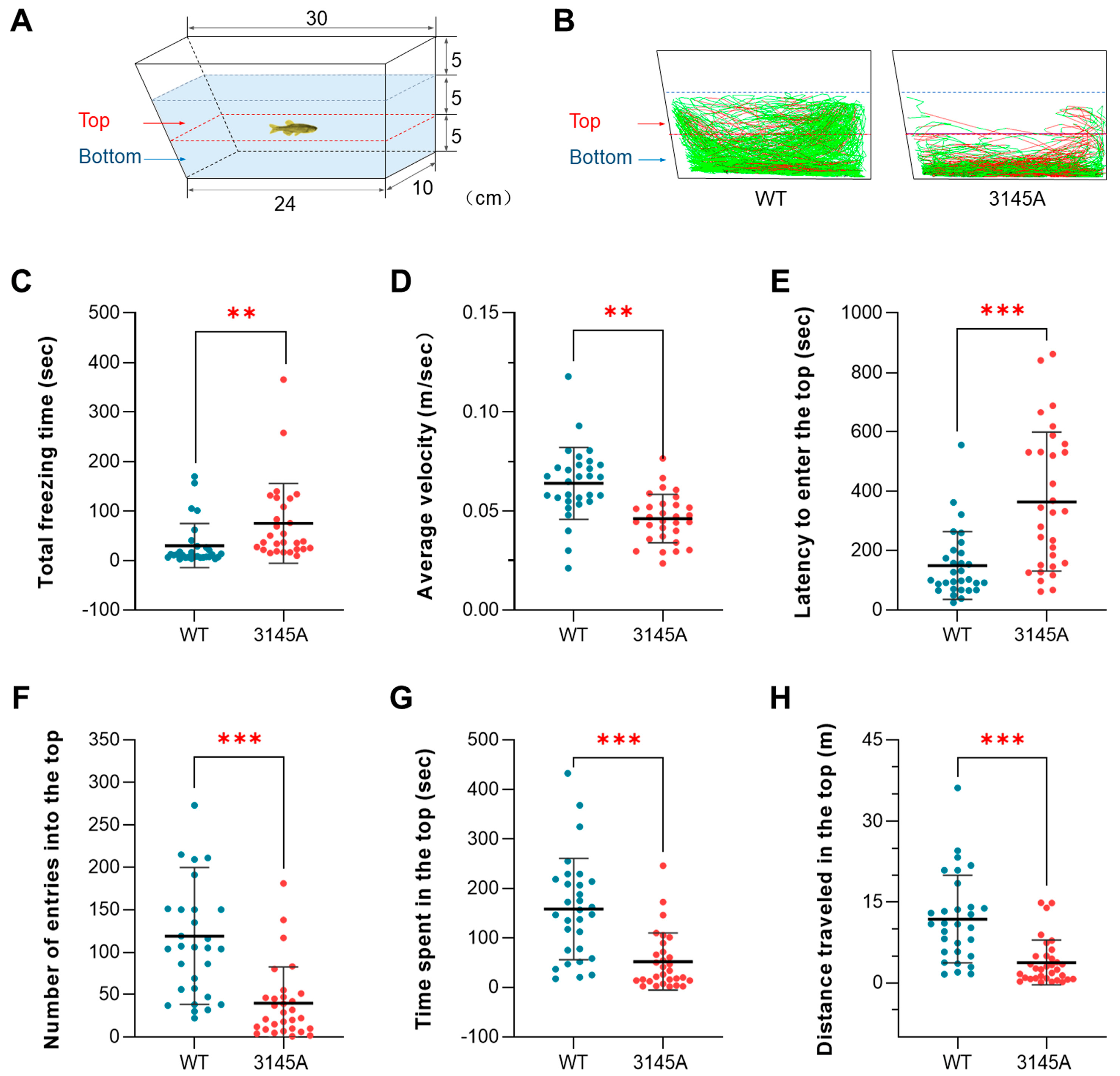 Ijms 24 03849 g003 Ijms 24 03849 g003