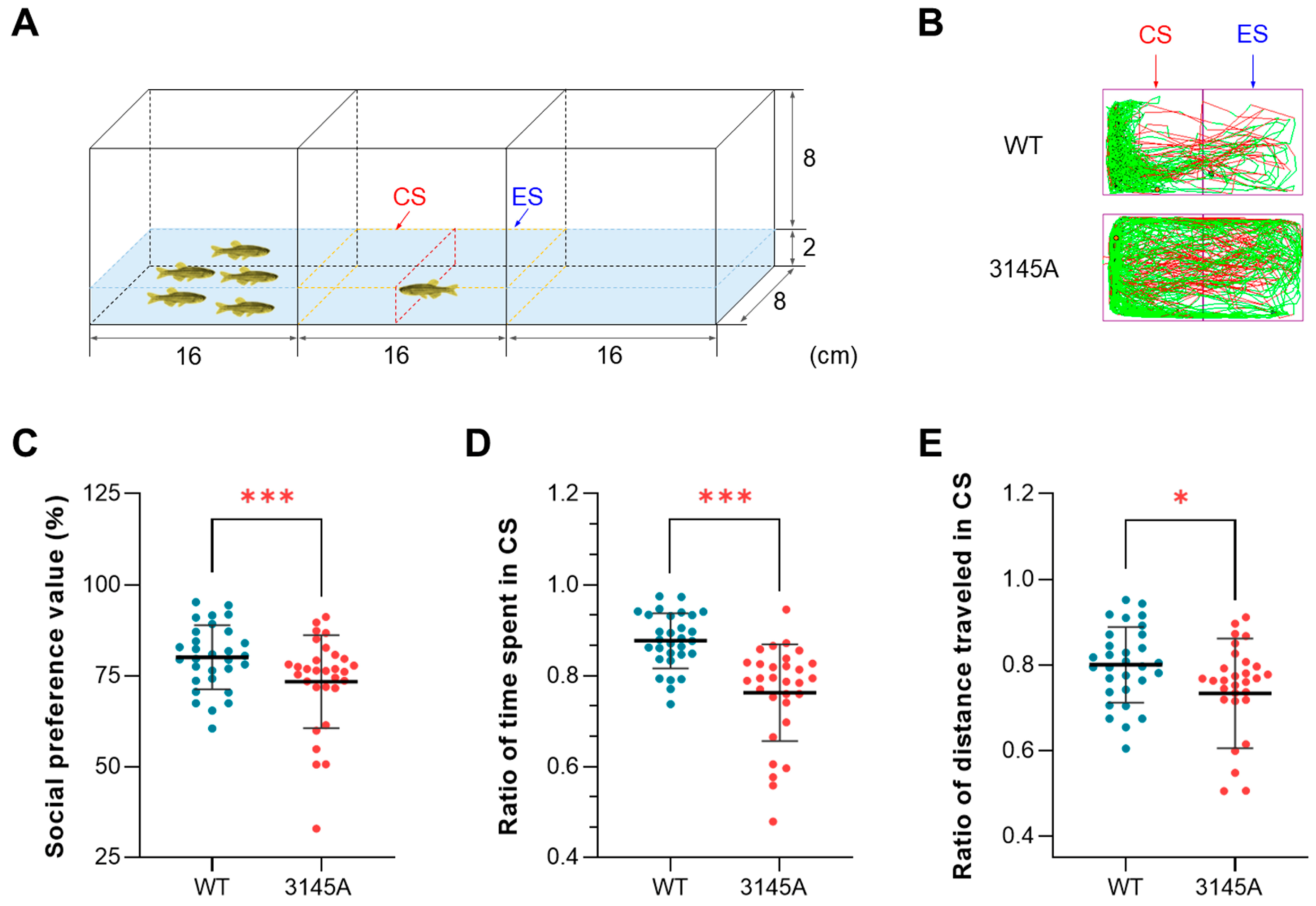 Ijms 24 03849 g005 Ijms 24 03849 g005