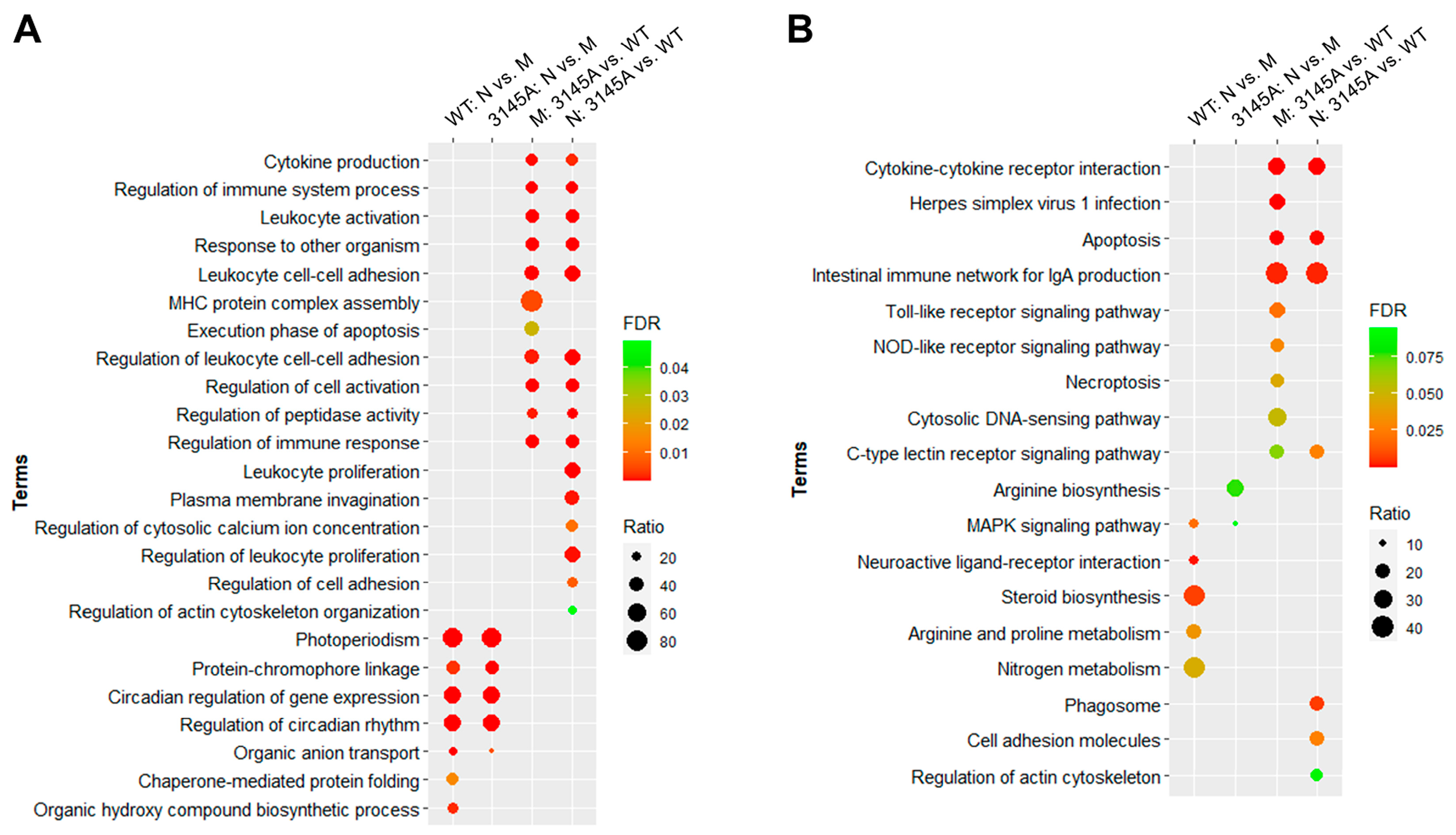 Ijms 24 03849 g008 Ijms 24 03849 g008