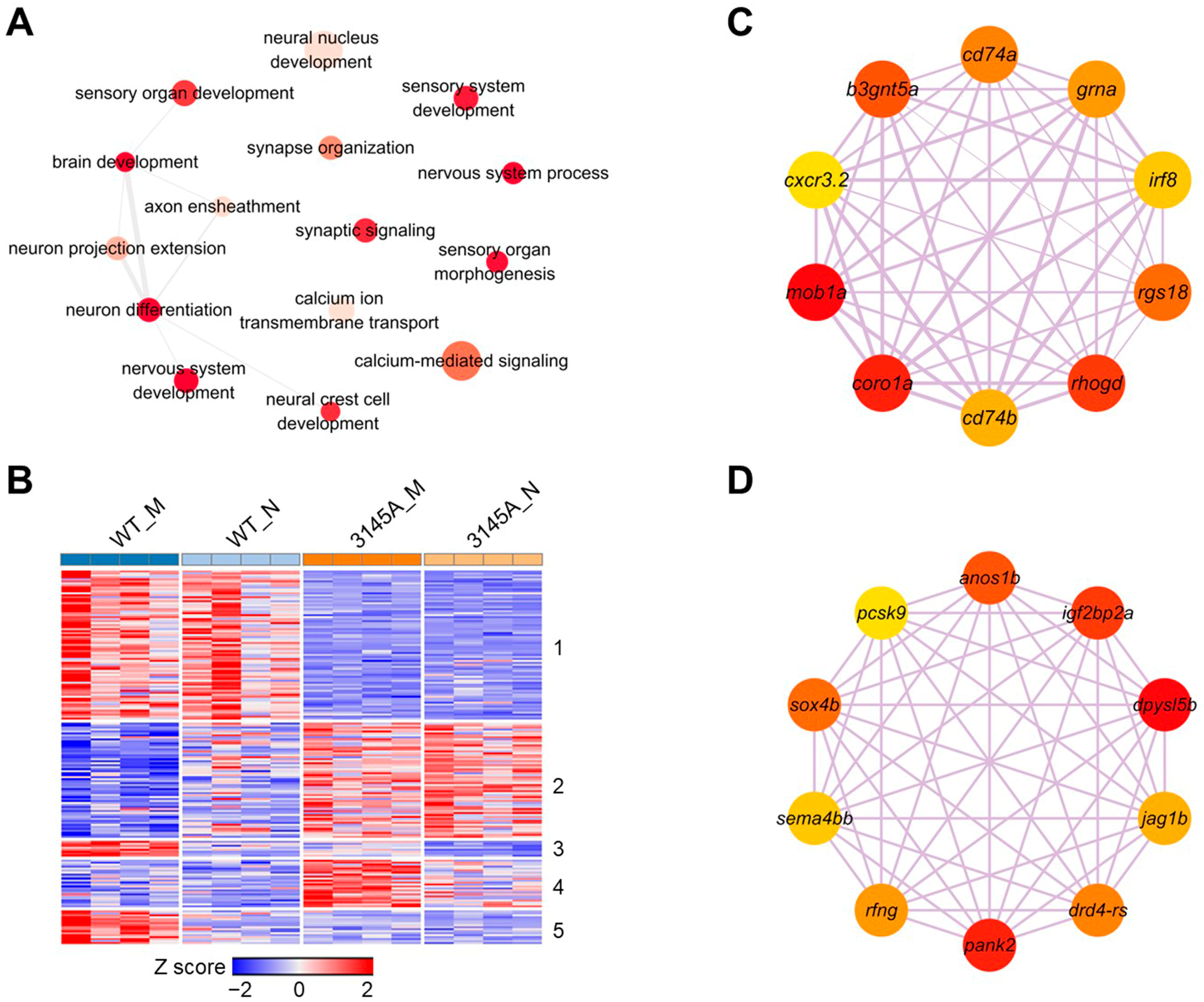 Ijms 24 03849 g009 Ijms 24 03849 g009
