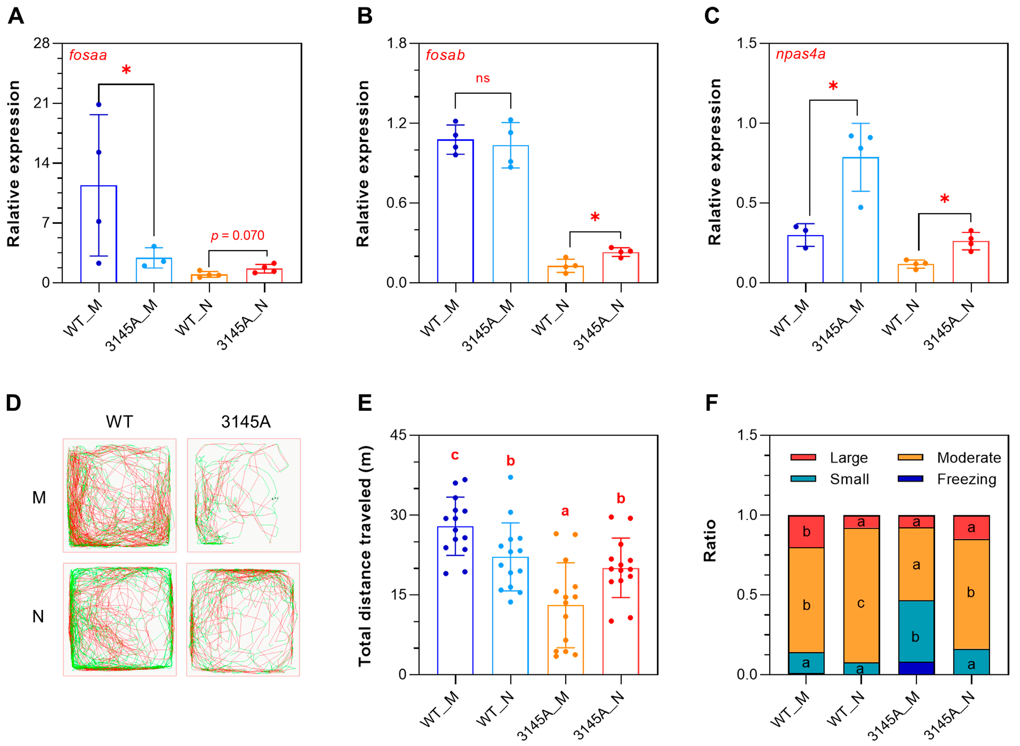 Ijms 24 03849 g010 Ijms 24 03849 g010