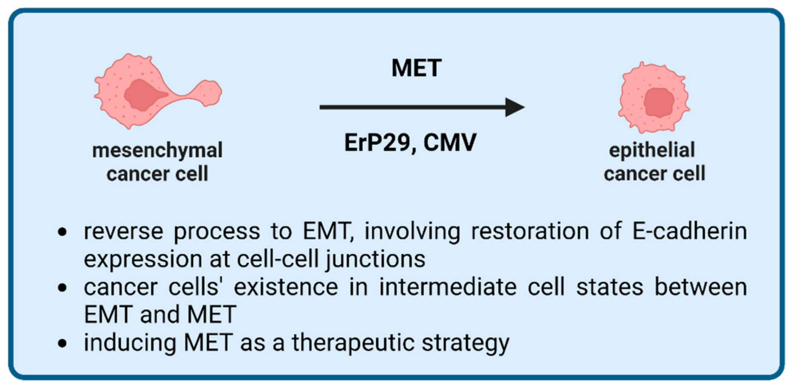 Ijms 24 03854 g004 Ijms 24 03854 g004