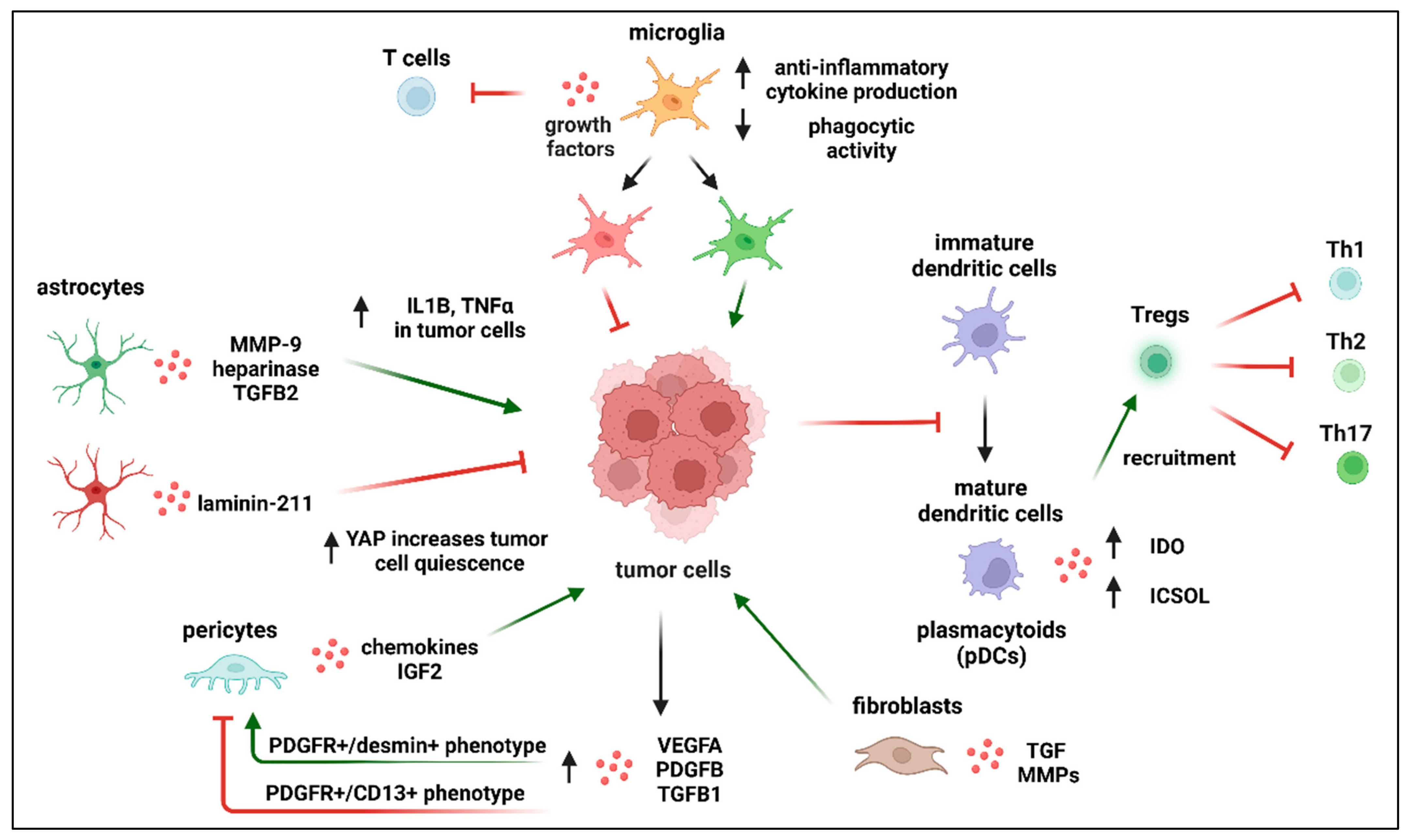 Ijms 24 03854 g006 Ijms 24 03854 g006