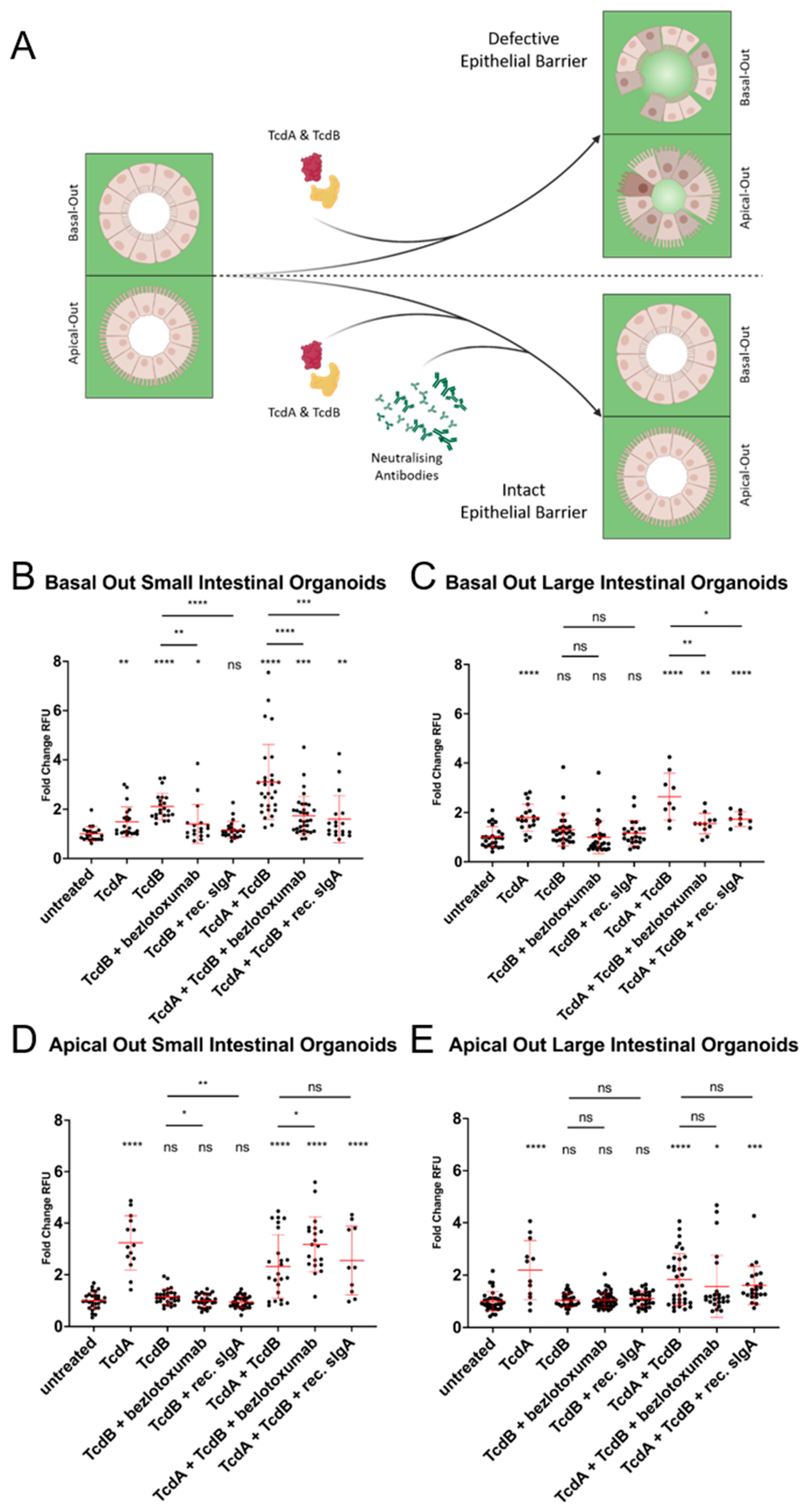 Ijms 24 03867 g005 Ijms 24 03867 g005