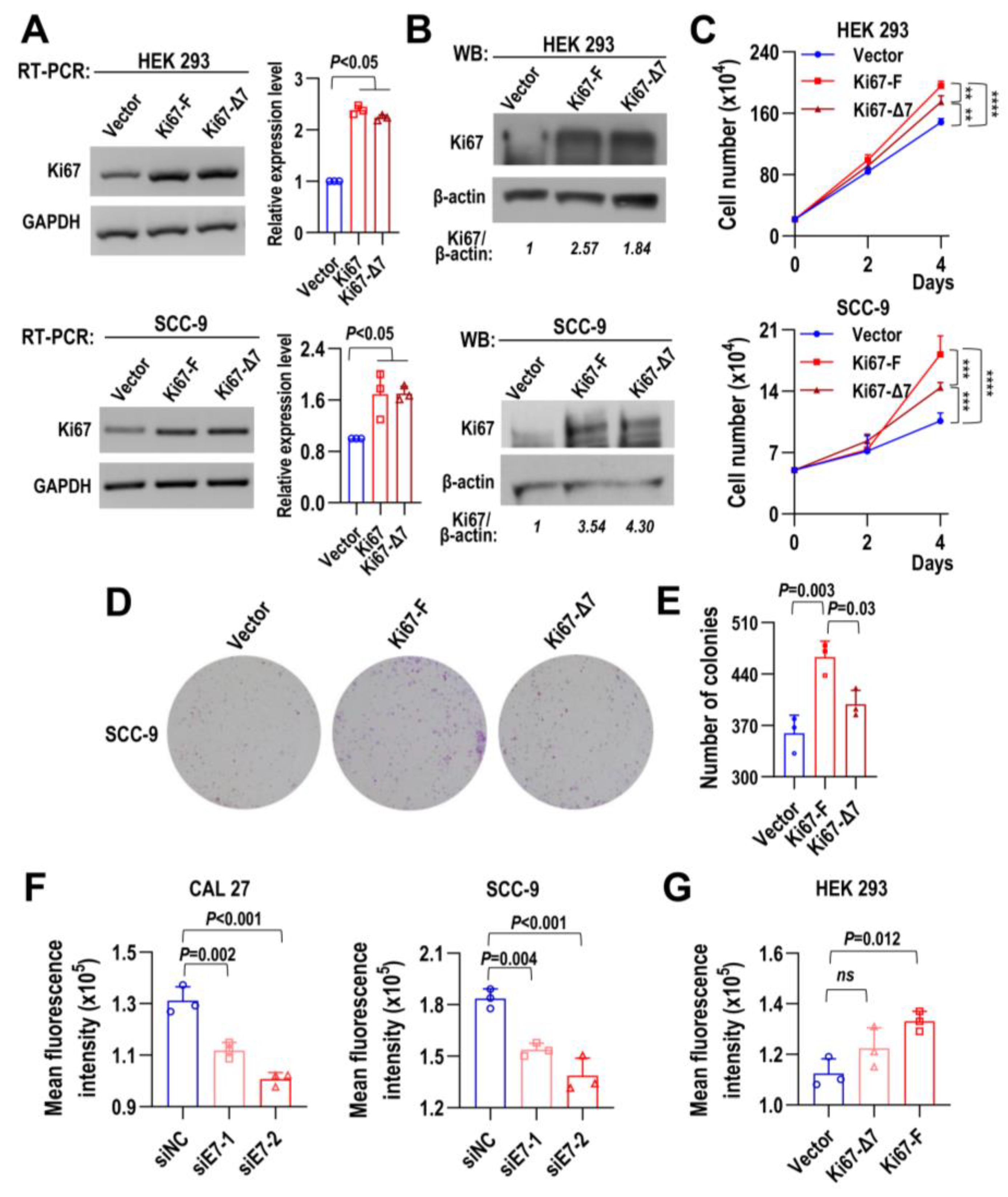 Ijms 24 03872 g004 Ijms 24 03872 g004