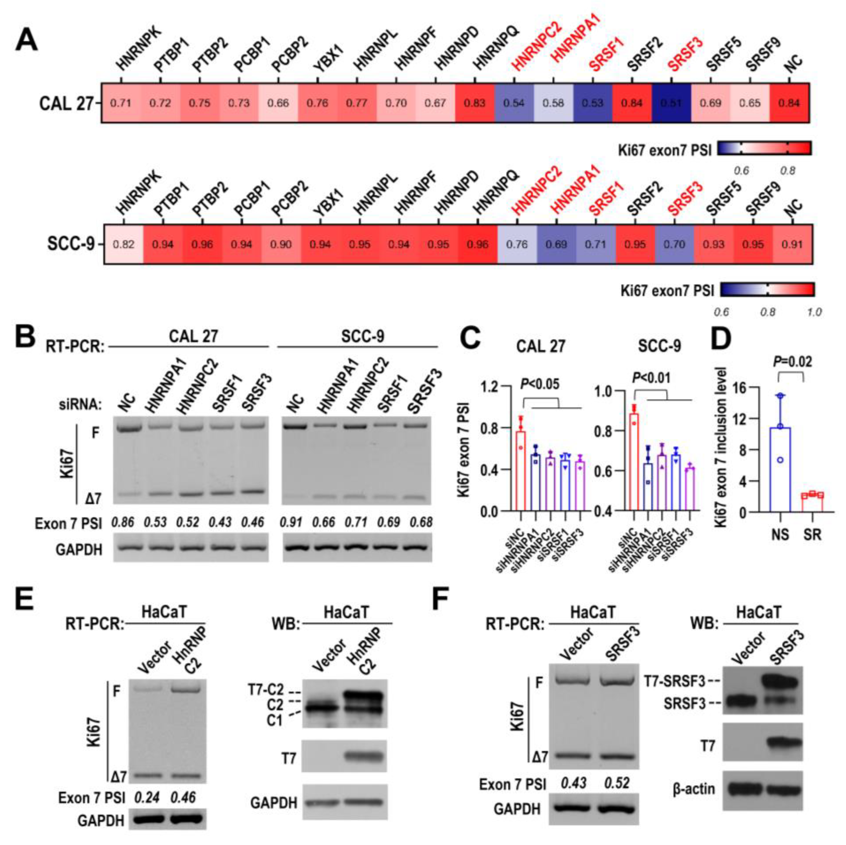 Ijms 24 03872 g005 Ijms 24 03872 g005