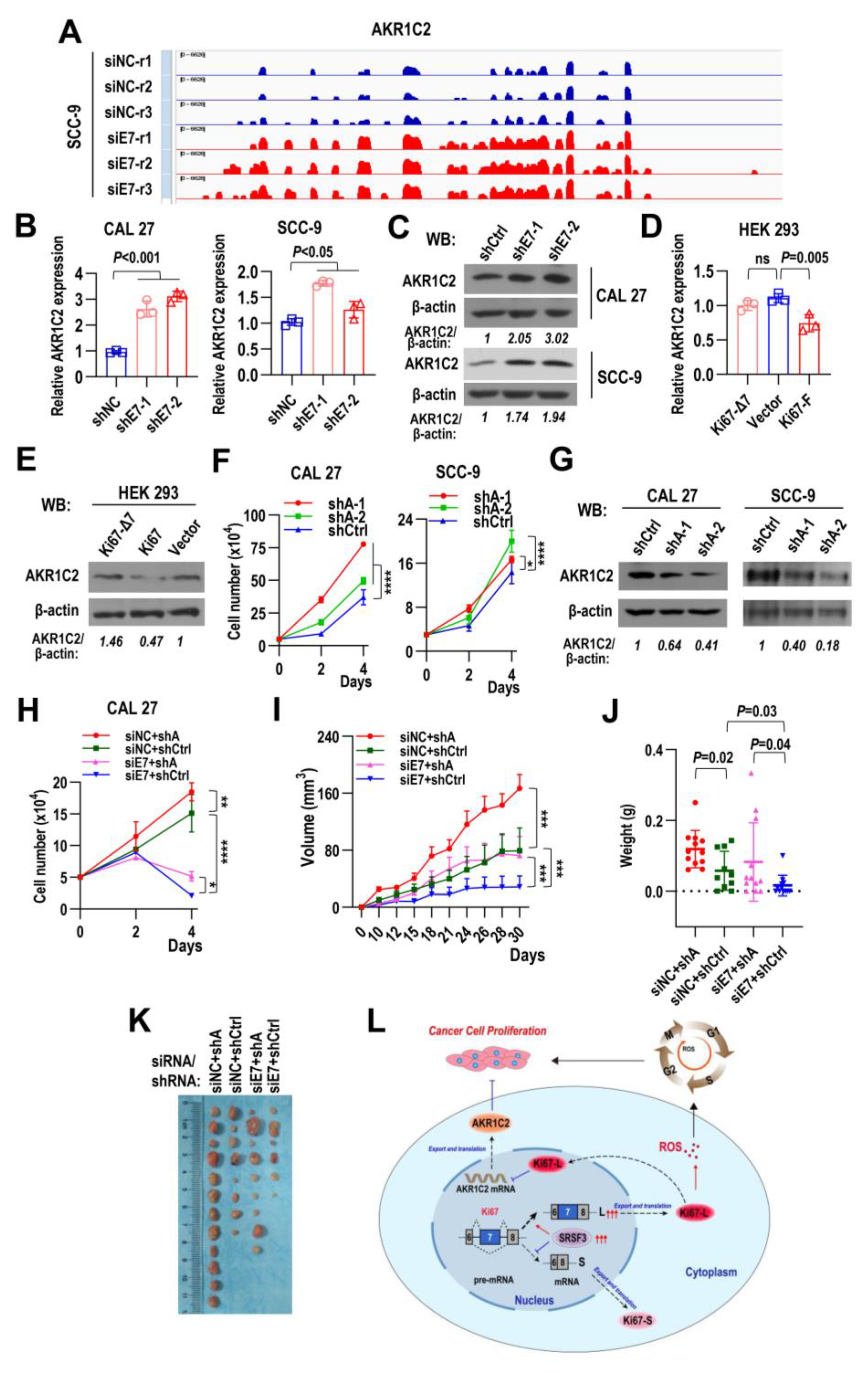 Ijms 24 03872 g008 Ijms 24 03872 g008