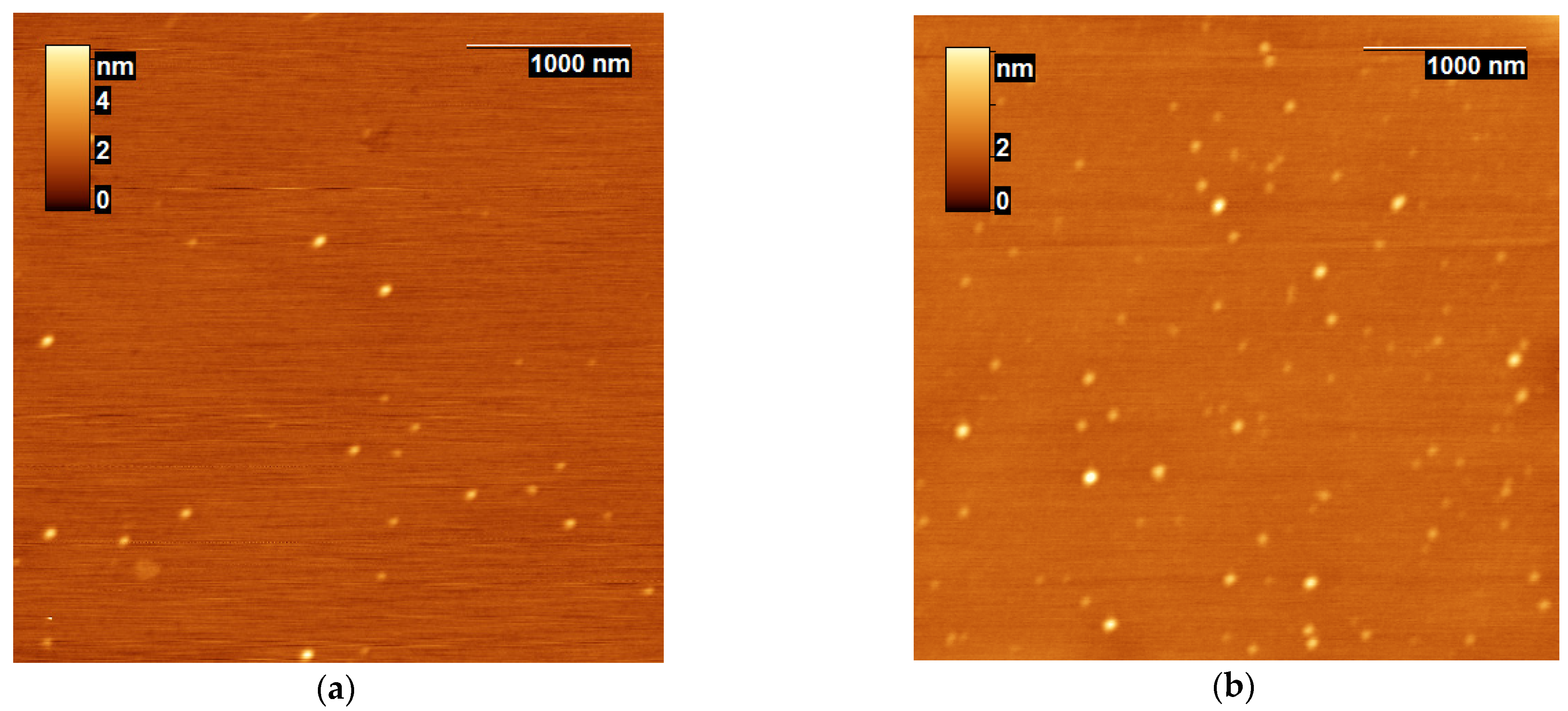 Ijms 24 03874 g001 Ijms 24 03874 g001