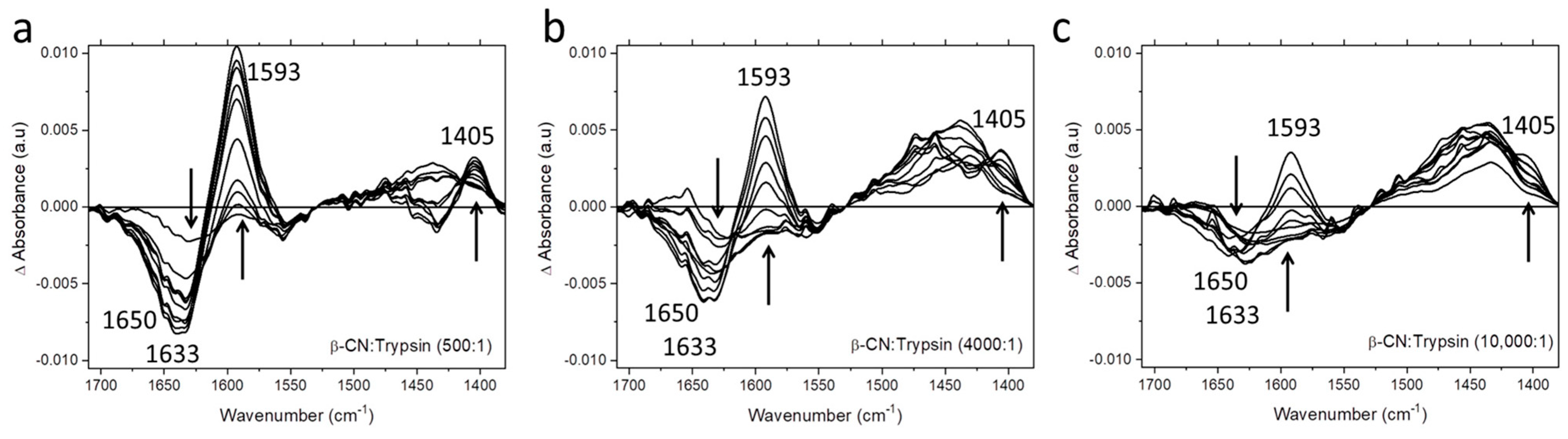 Ijms 24 03874 g004 Ijms 24 03874 g004