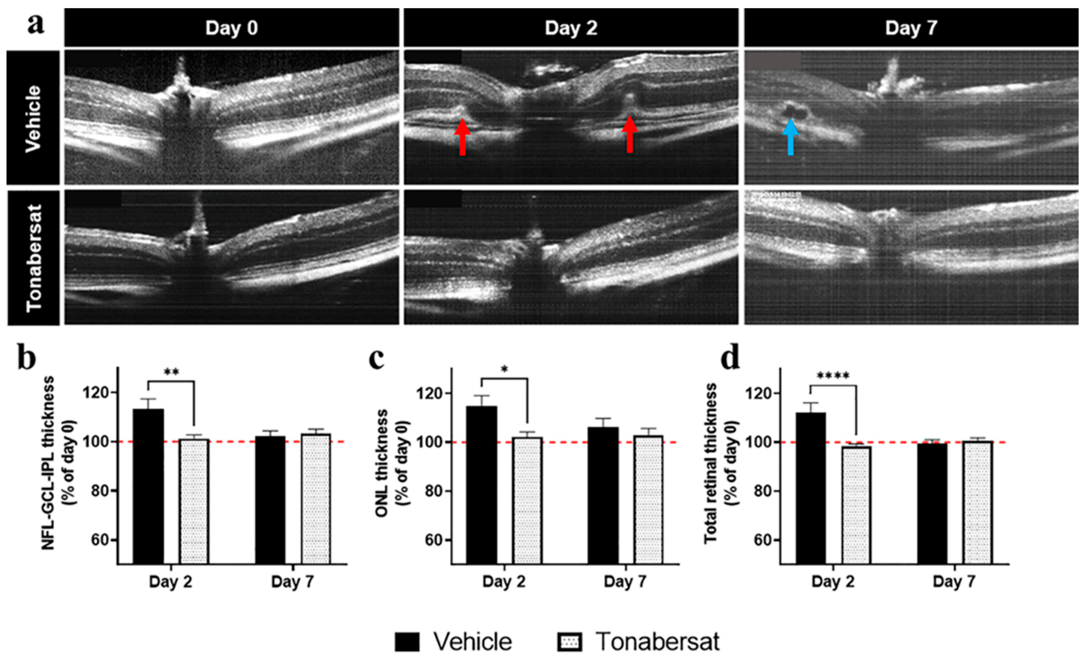 Ijms 24 03876 g002 Ijms 24 03876 g002