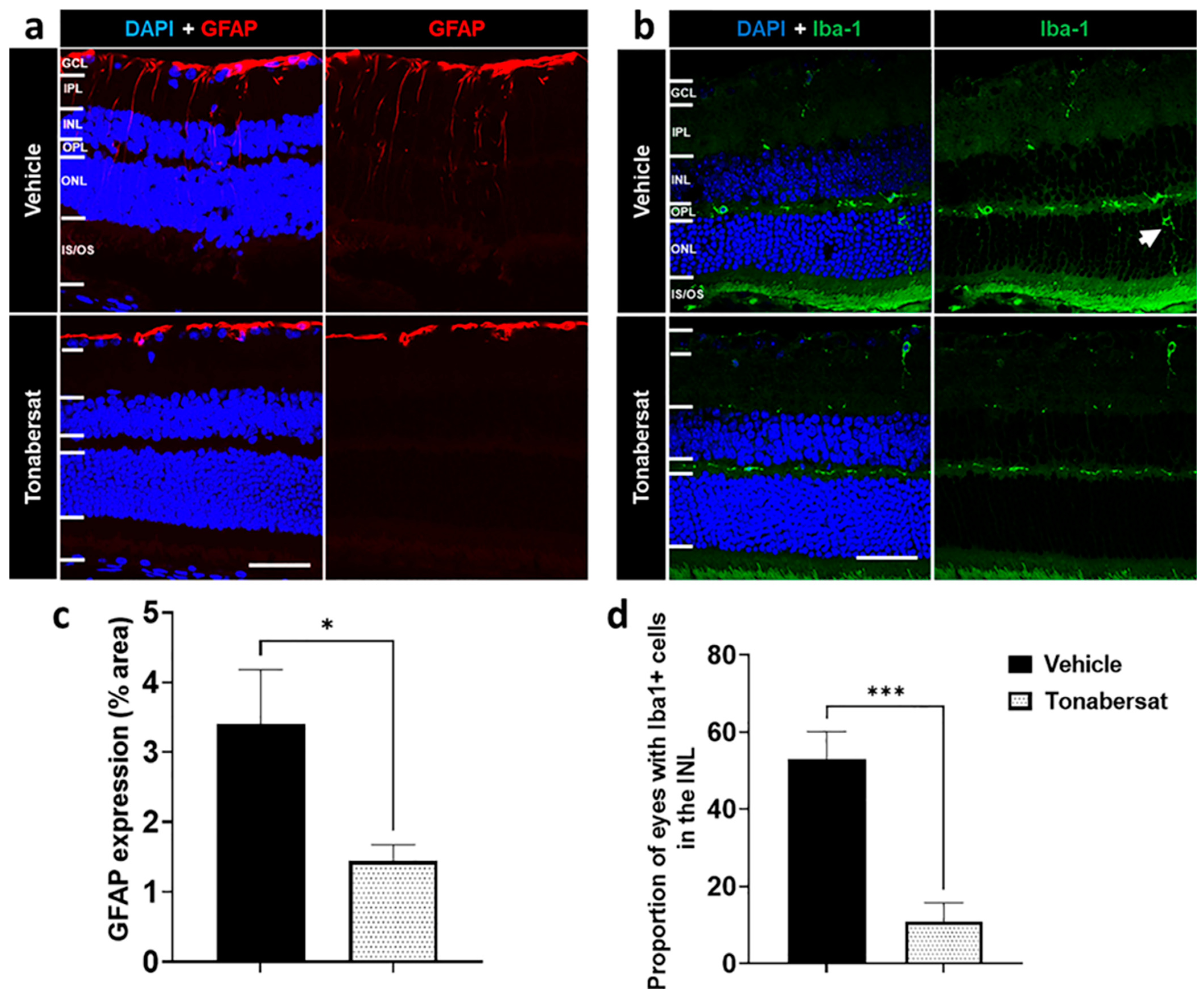 Ijms 24 03876 g005 Ijms 24 03876 g005