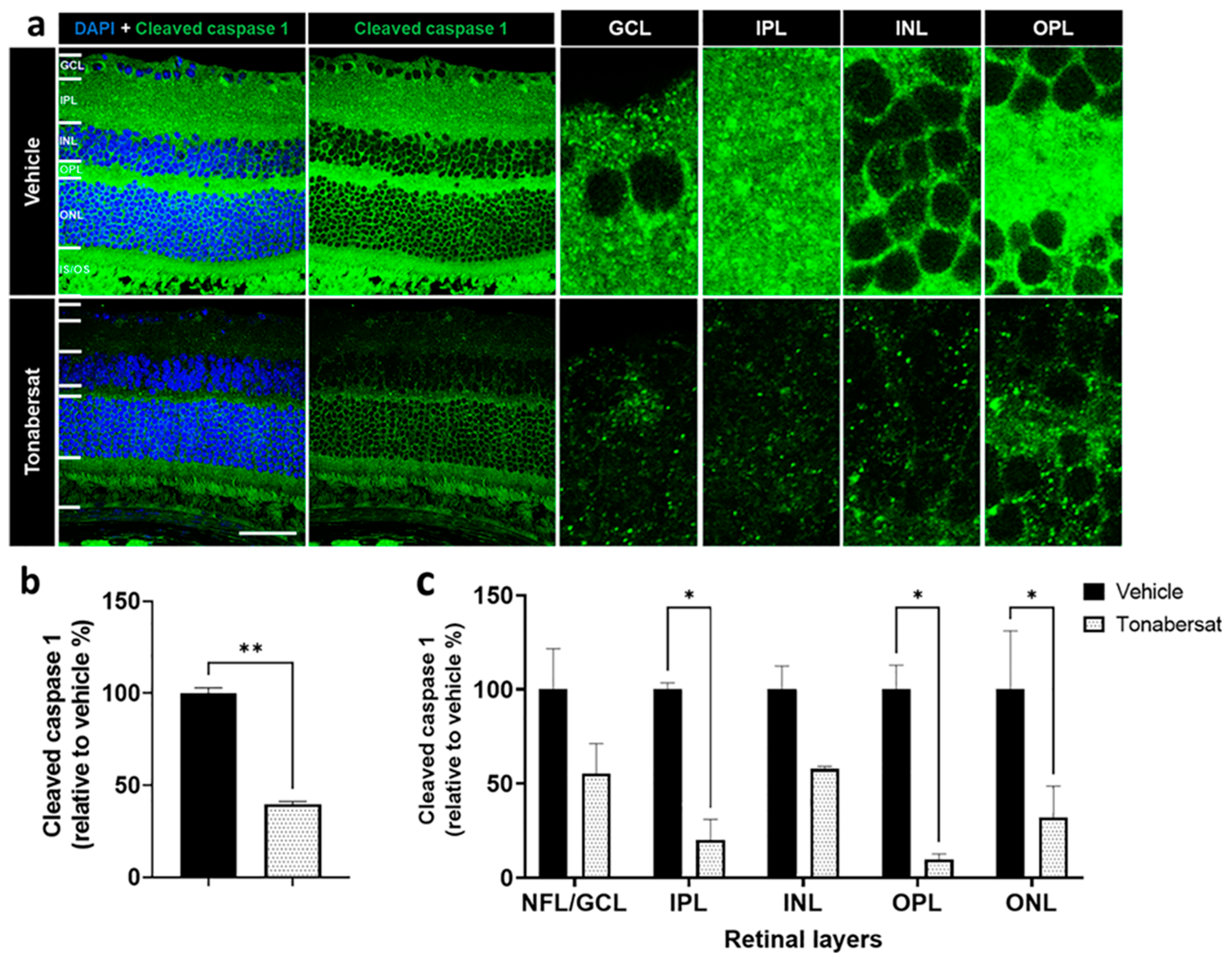 Ijms 24 03876 g007 Ijms 24 03876 g007