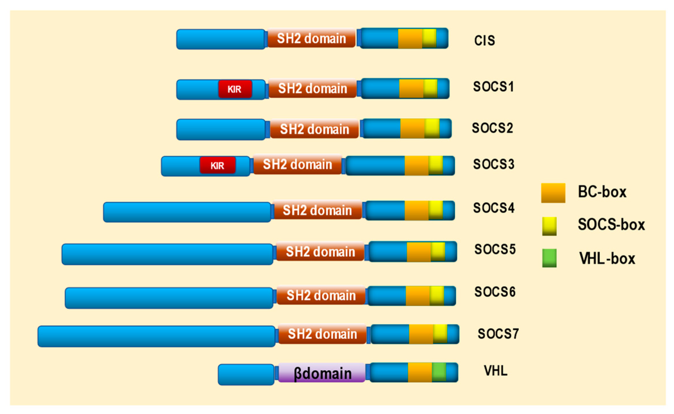 Ijms 24 03880 g002 Ijms 24 03880 g002