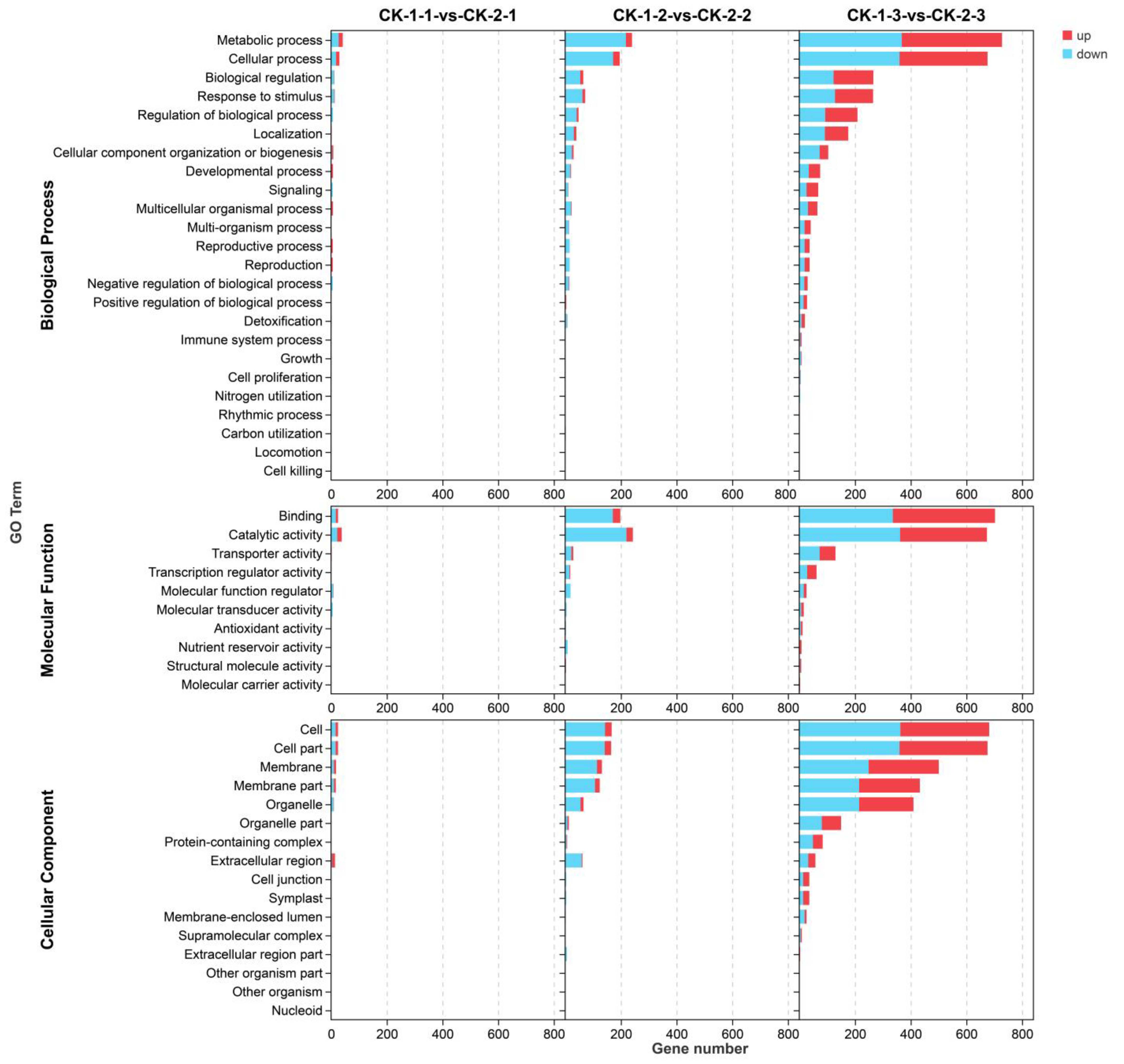 Ijms 24 03884 g003 Ijms 24 03884 g003