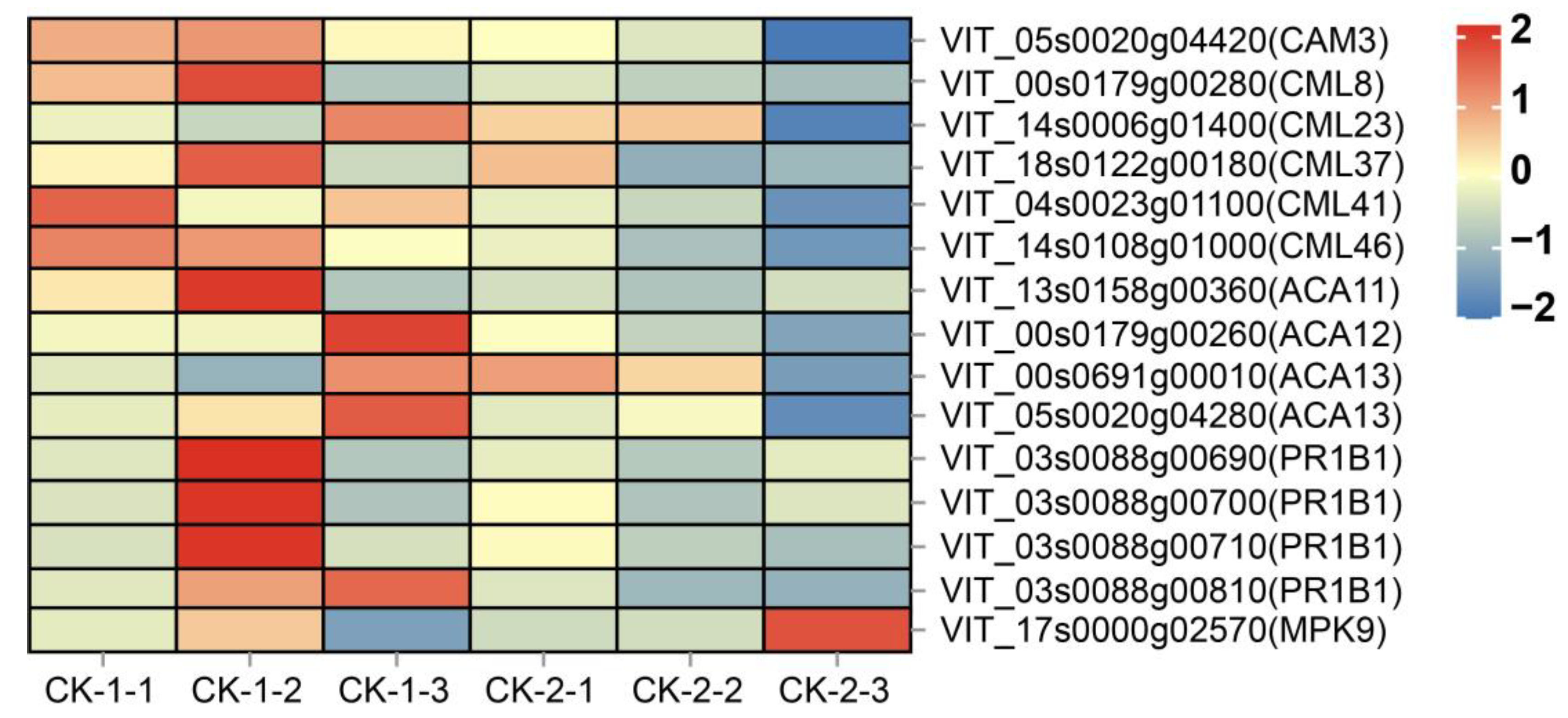 Ijms 24 03884 g005 Ijms 24 03884 g005