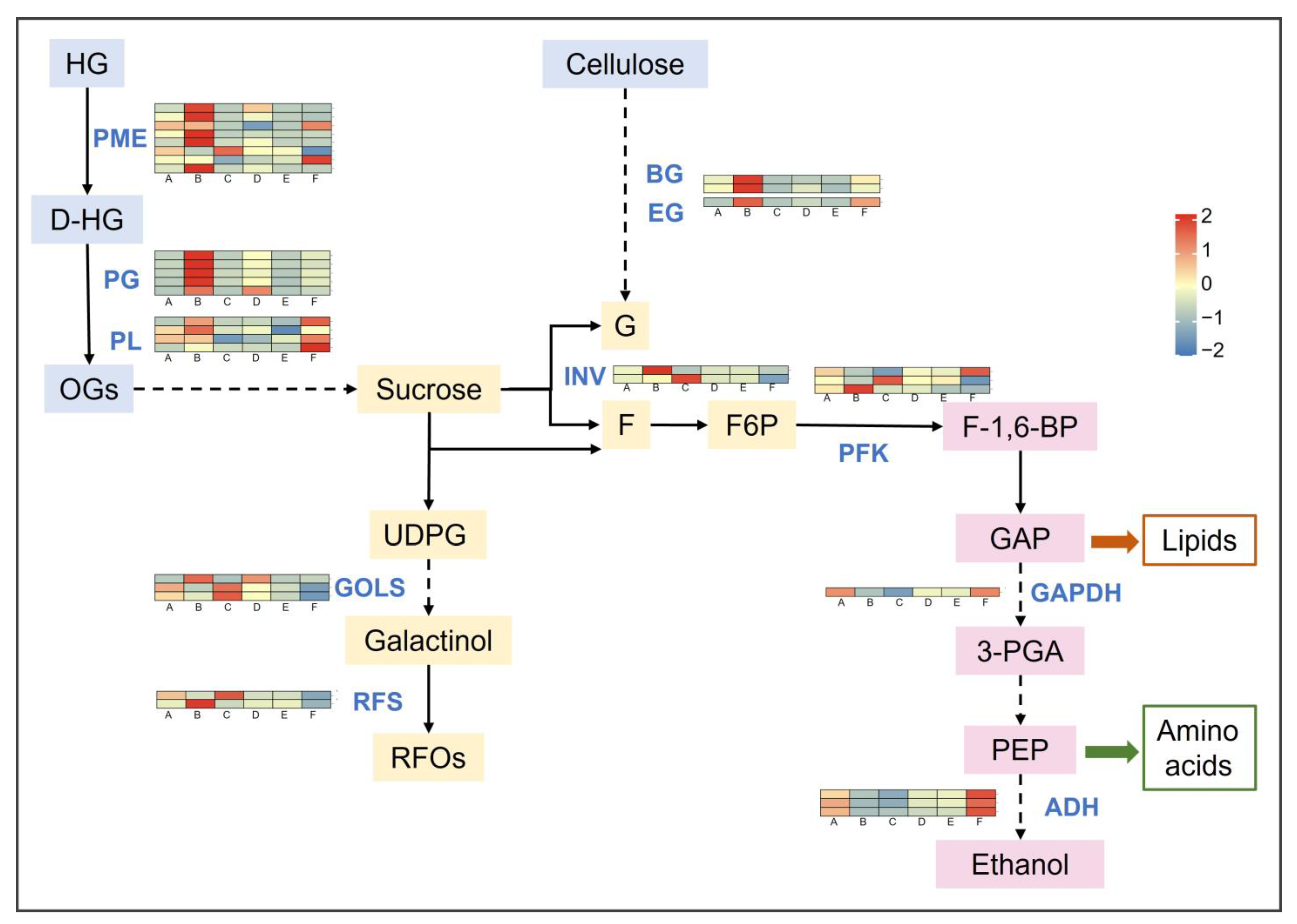 Ijms 24 03884 g006 Ijms 24 03884 g006