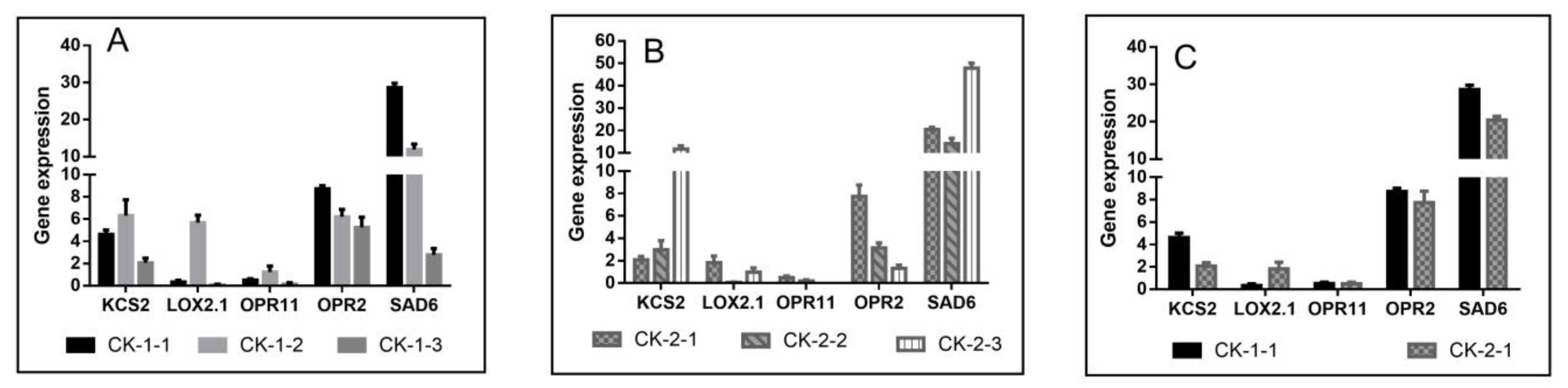 Ijms 24 03884 g007 Ijms 24 03884 g007